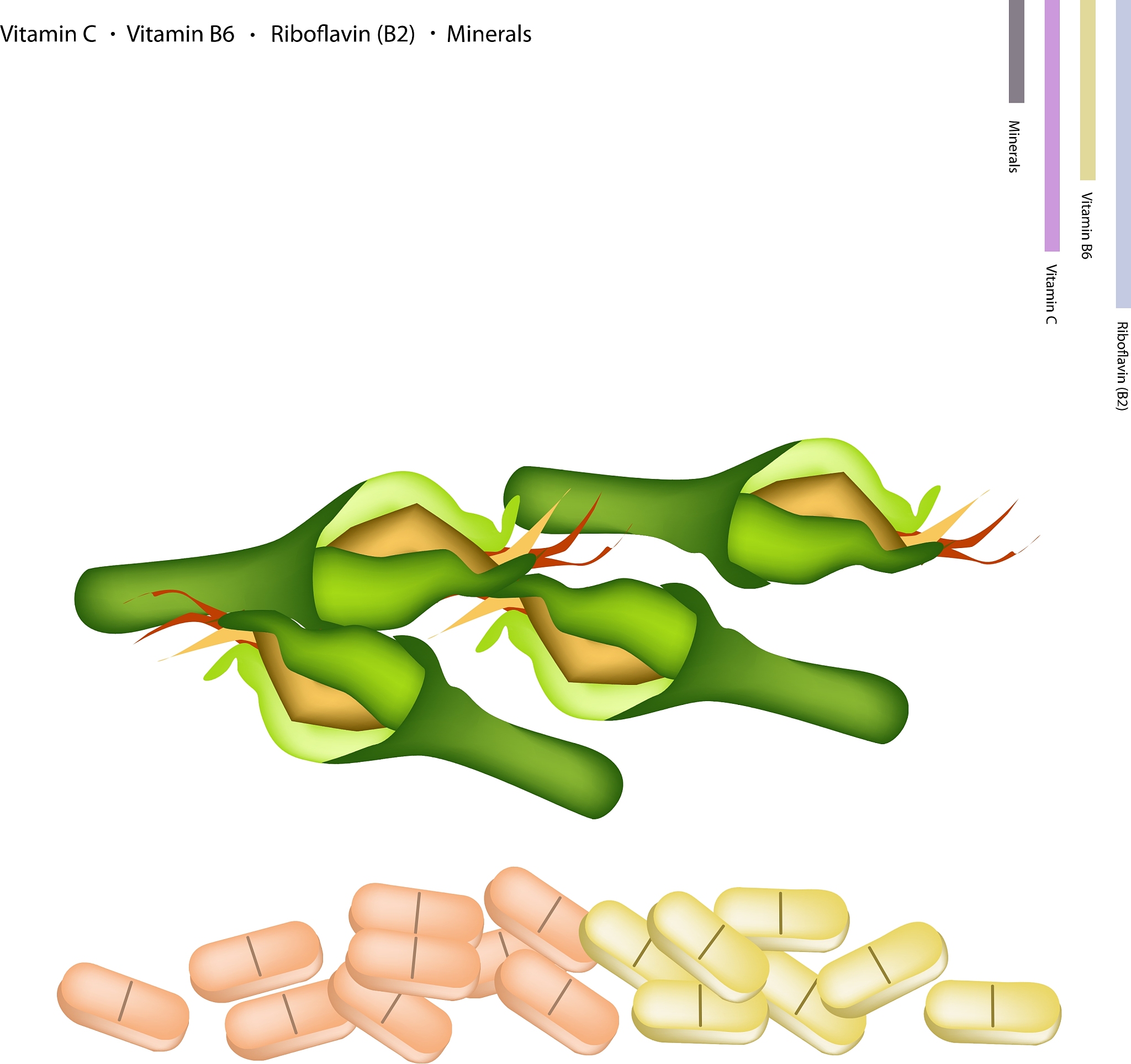 为什么26-二氯酚靛酚滴定抗坏血酸时要用2草酸提取样品而且整个滴定过程要快速不要超过2分钟