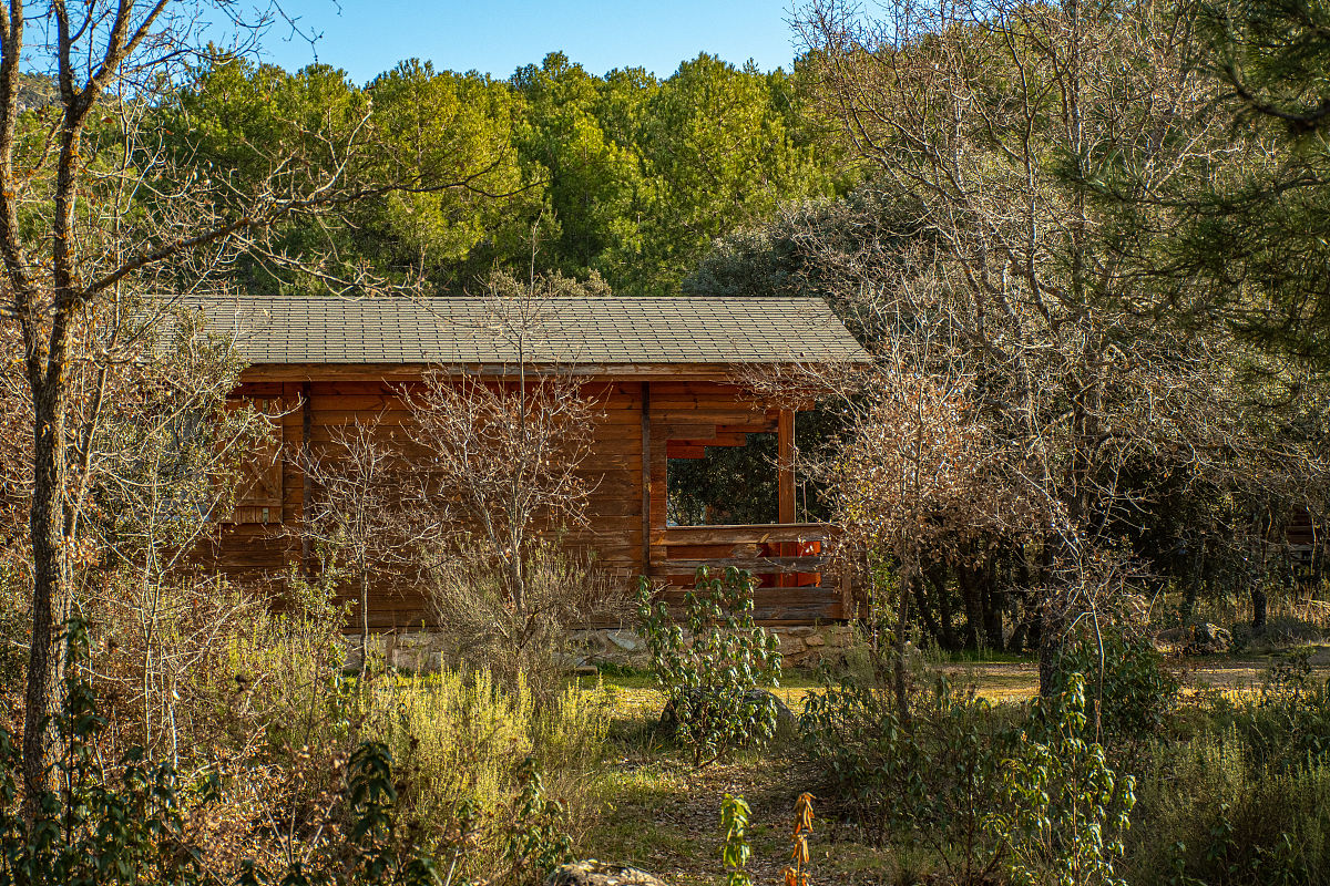遗忘之丘林中小屋 手游更新日志