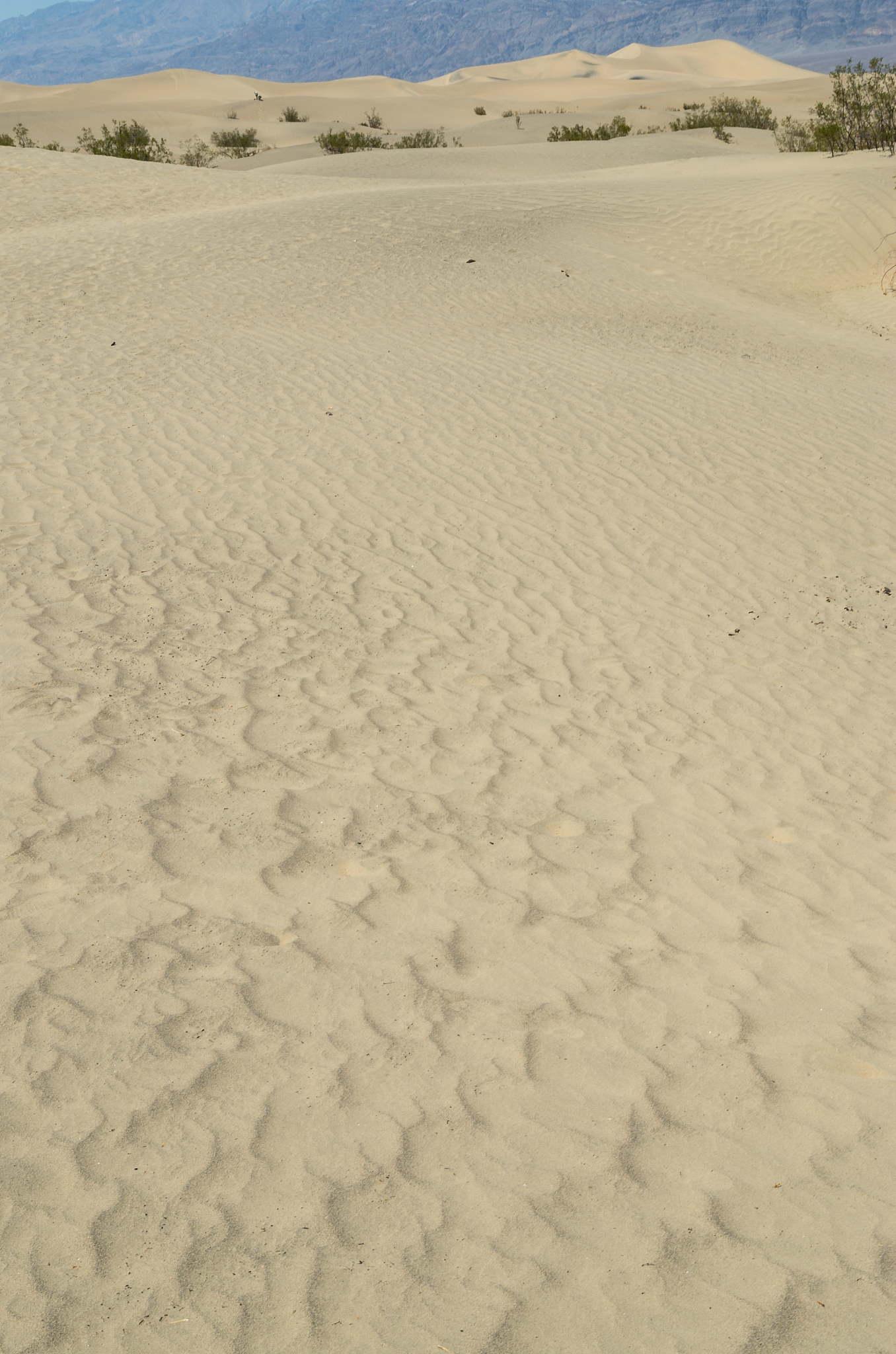 death valley national park