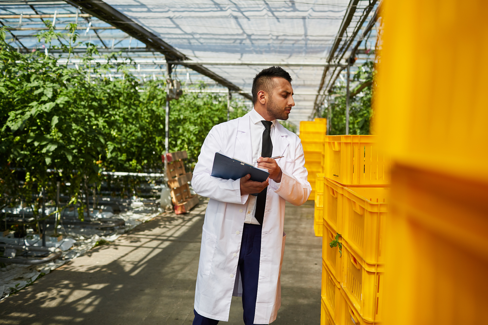 云南农业大学的王牌专业有哪些？下