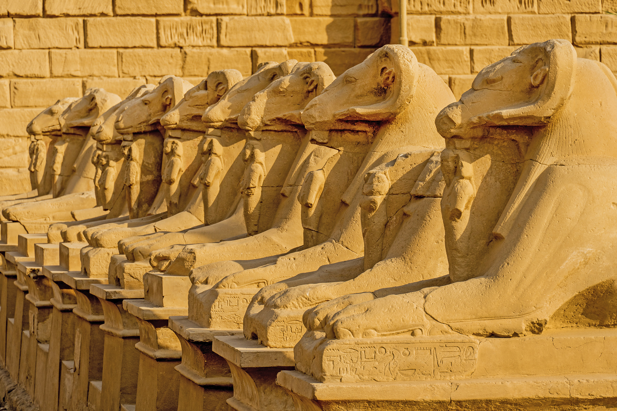 the ancient temple of karnak showing a row of ram statuary figur