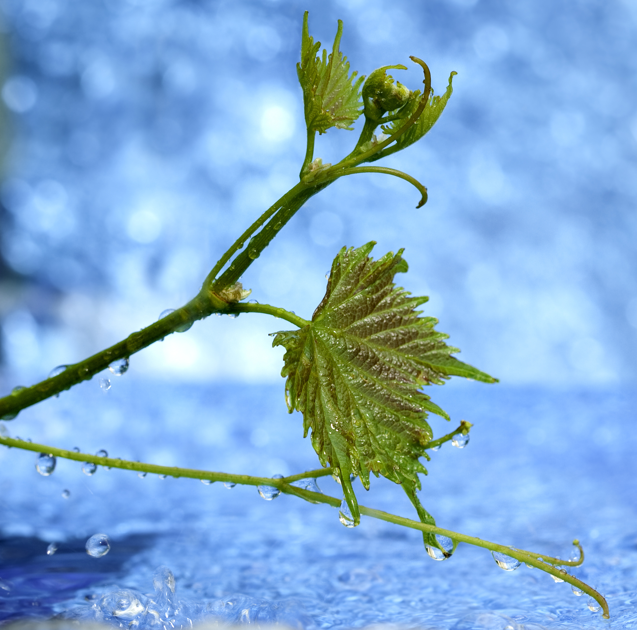 河北经济管理学校2023春季计算机招生吗？