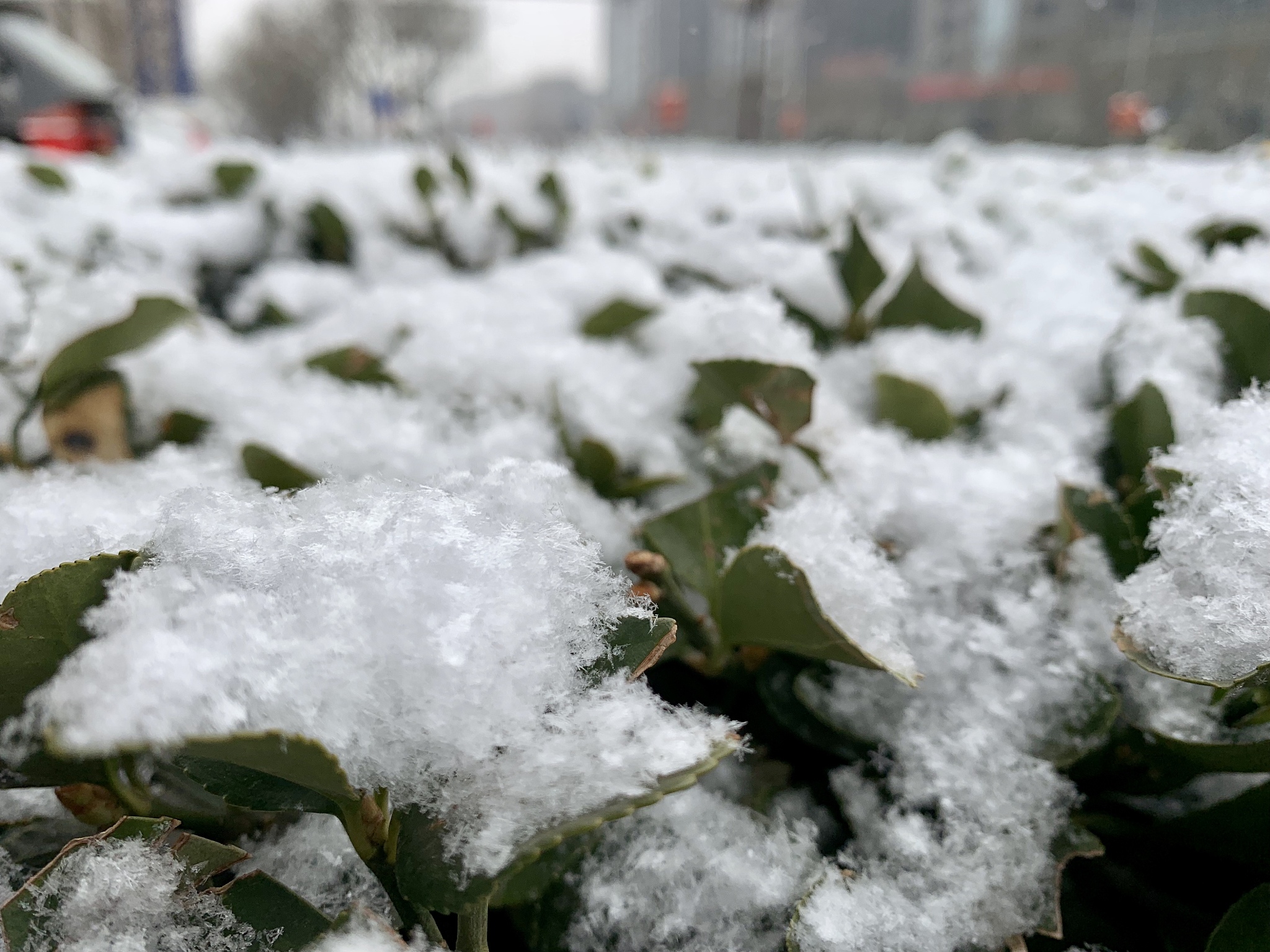 湖北咸宁清明节下过雪吗回答加拓展。