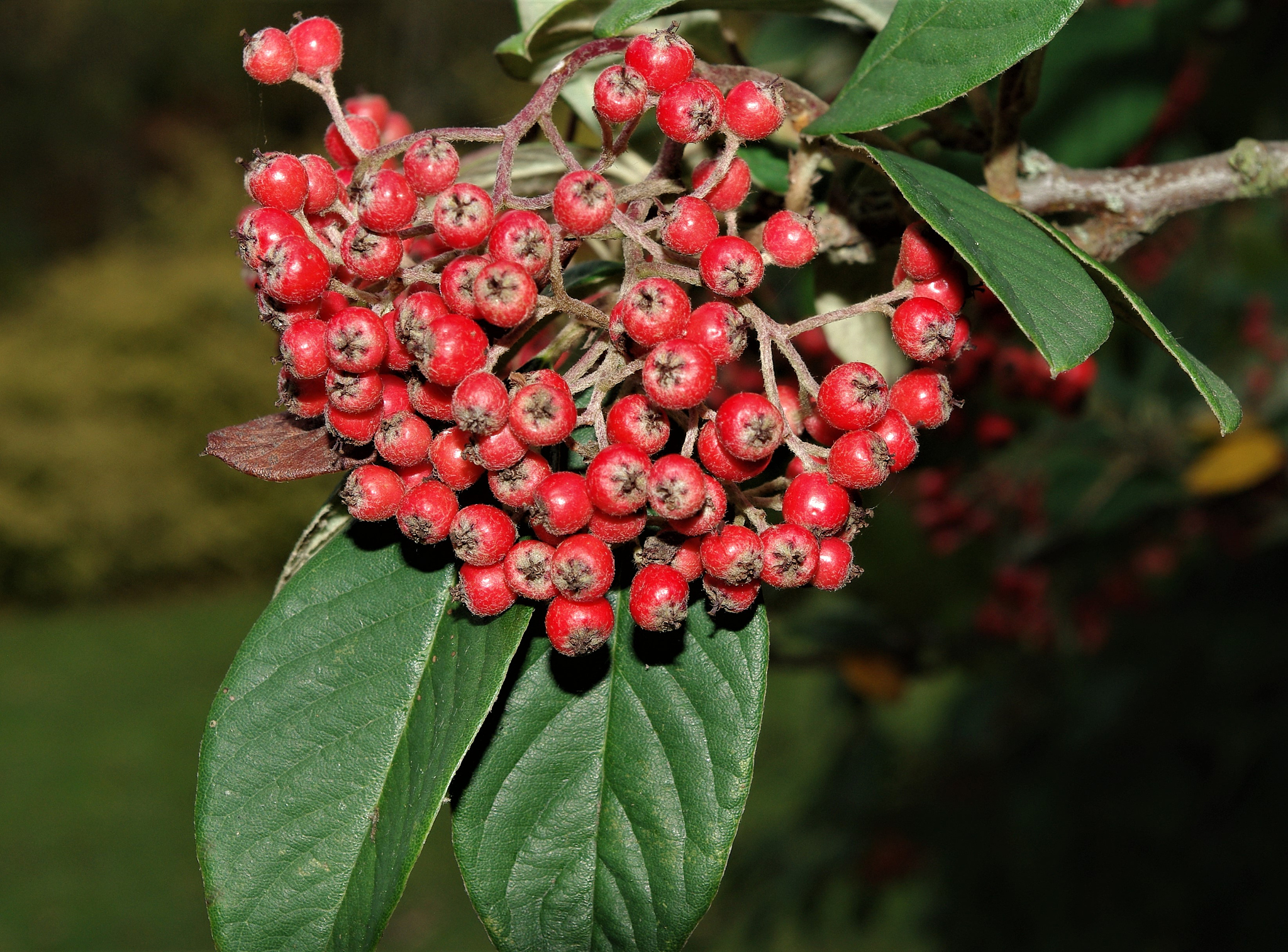 关于四季的抒情诗