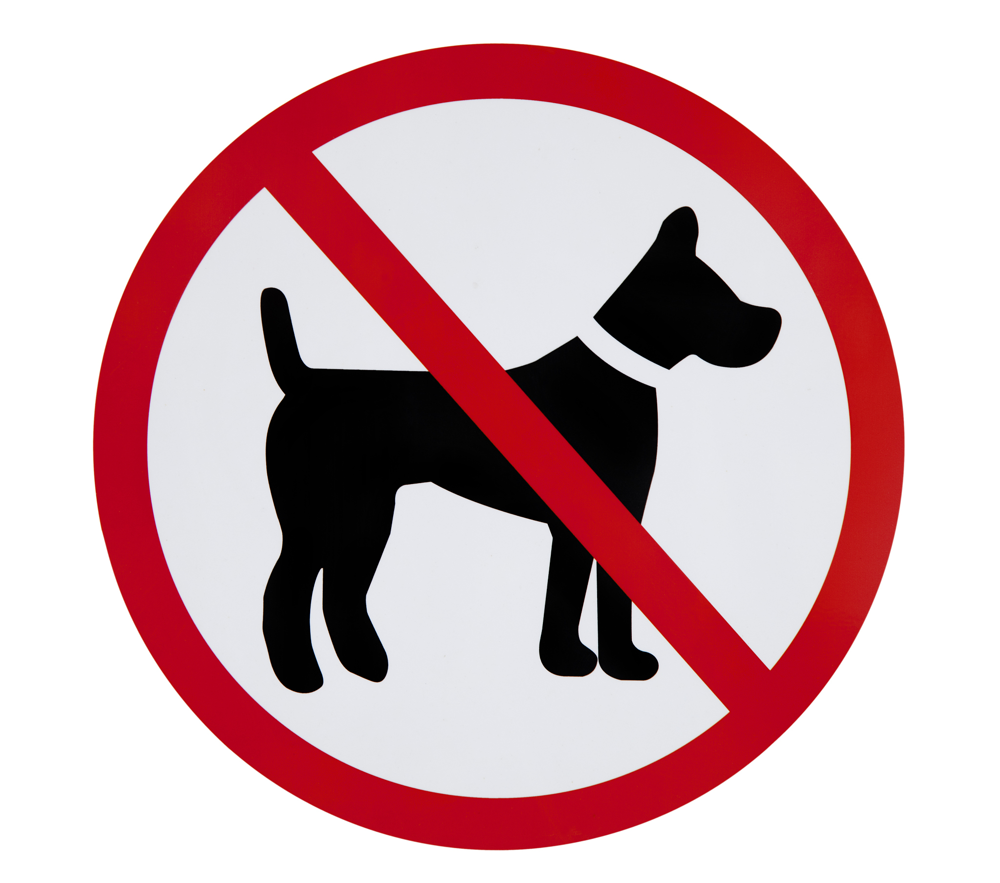 崇州犬只伤人事件：如何预防类似事件再次发生？