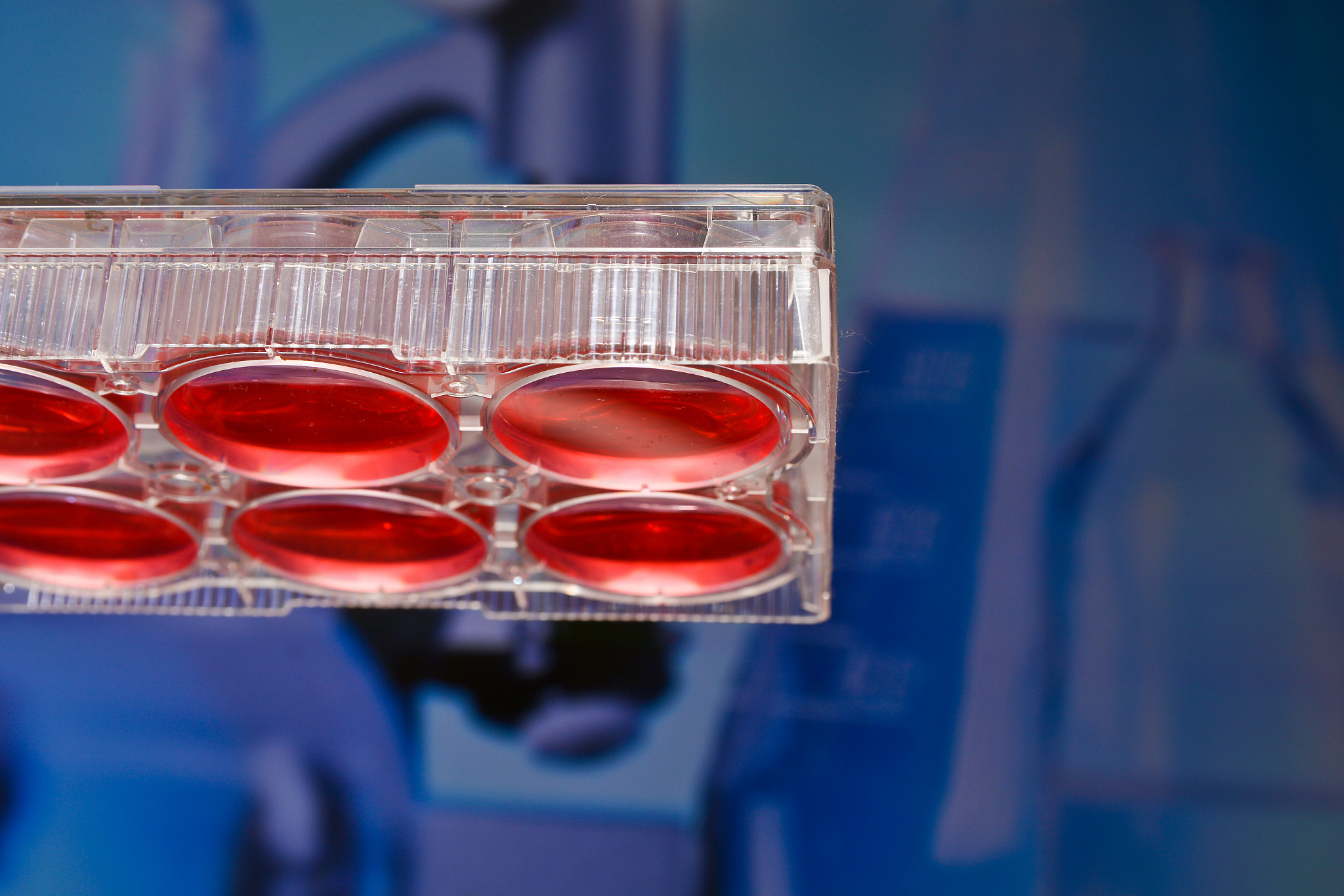 油酸细胞培养液配制方法 - 详细步骤及注意事项