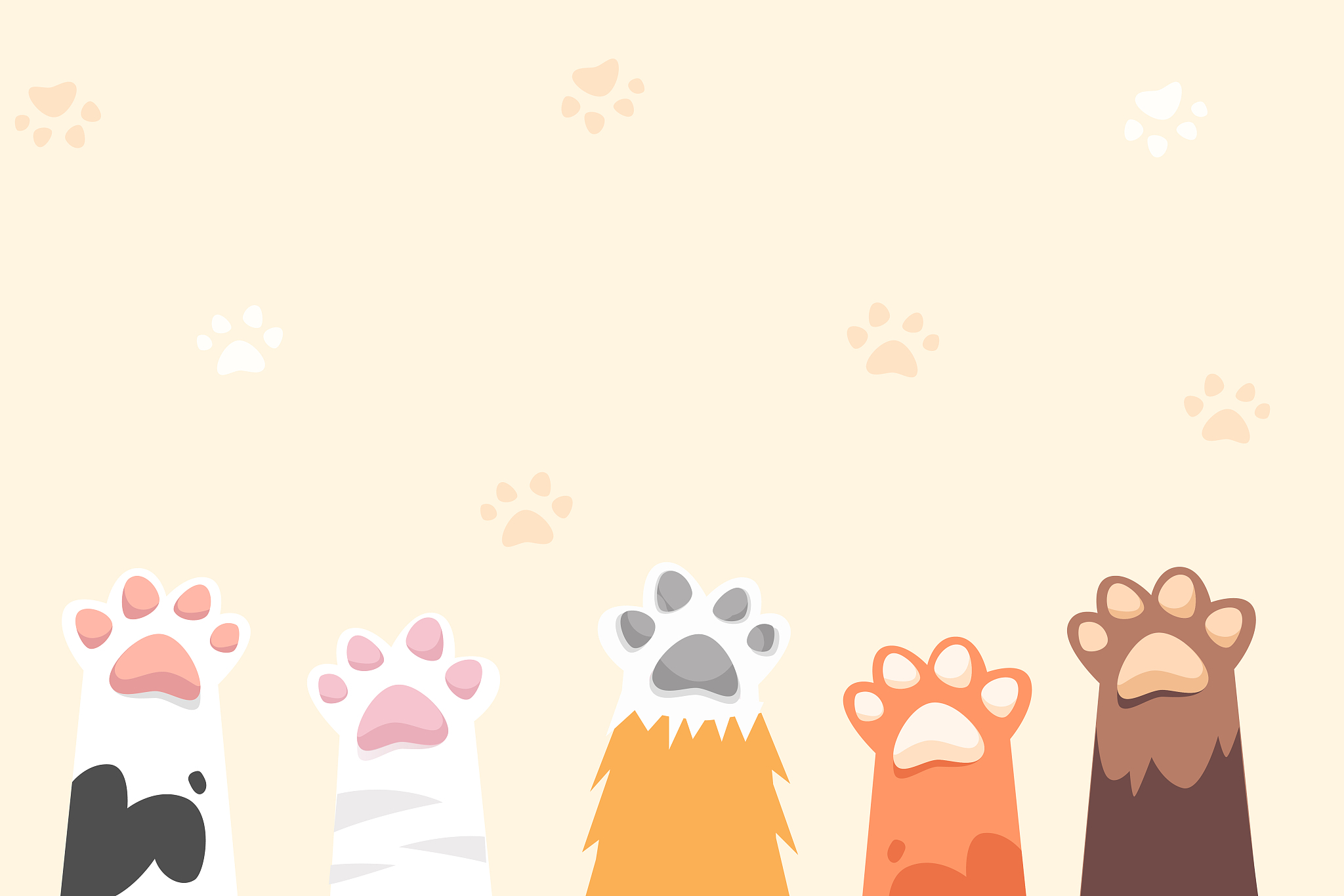 猫咪补充维生素b的标题