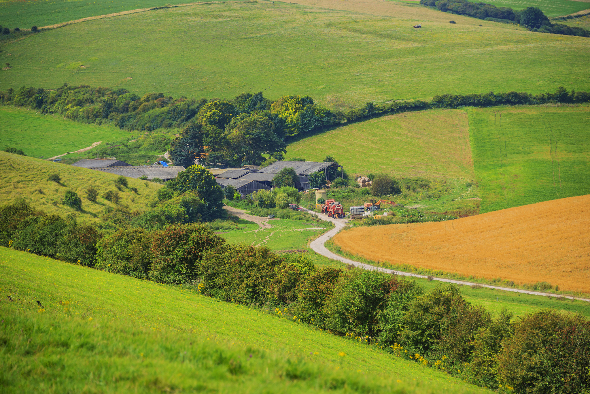 south downs