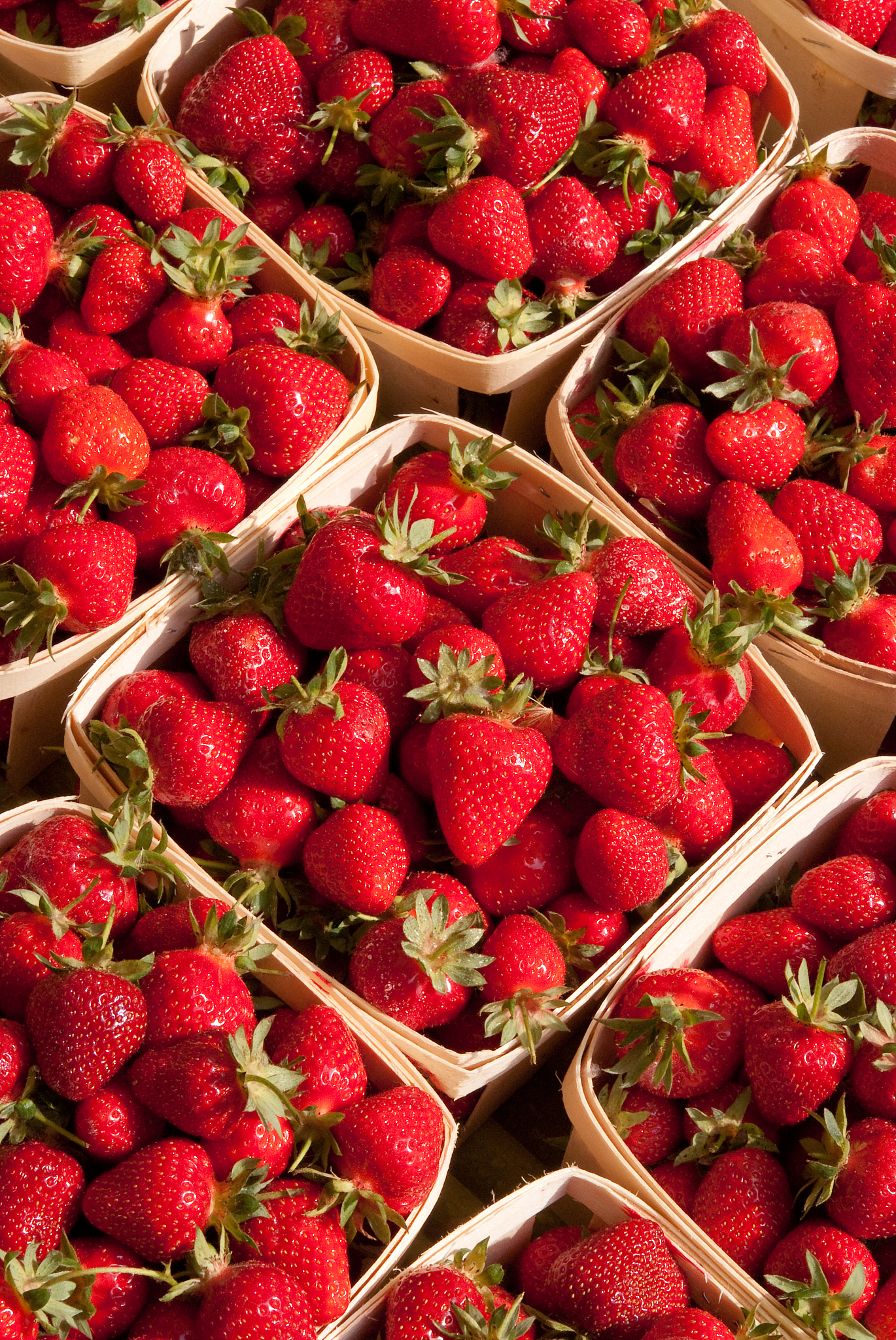 f?te de la fraise - velleron vaucluse