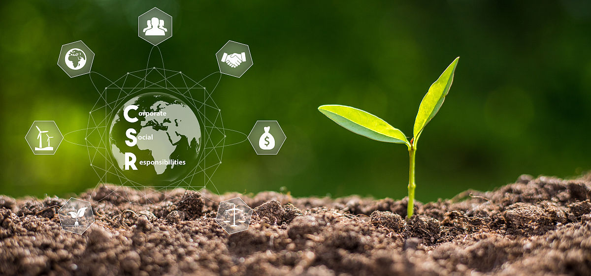 工地社会实践报告2000字