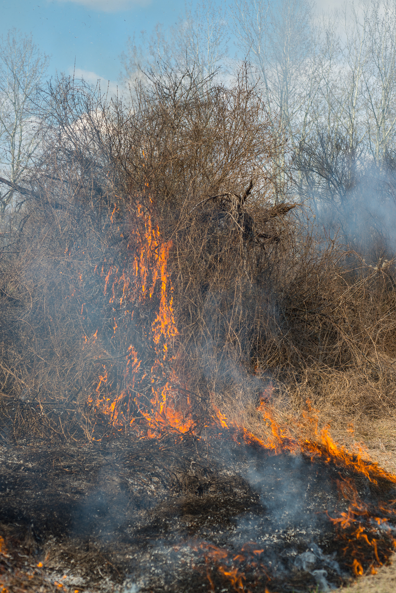 Please translate the following sentence into English according to the style of SCI journals 混凝土内的水会从背火面的裂缝中溢出。由于水来自于高温区域这导致混凝土裂缝处的温度偏高。如果混凝土形成了贯穿裂缝火灾高温烟气也会通过裂缝逸出导致裂缝处的温度显著上升。