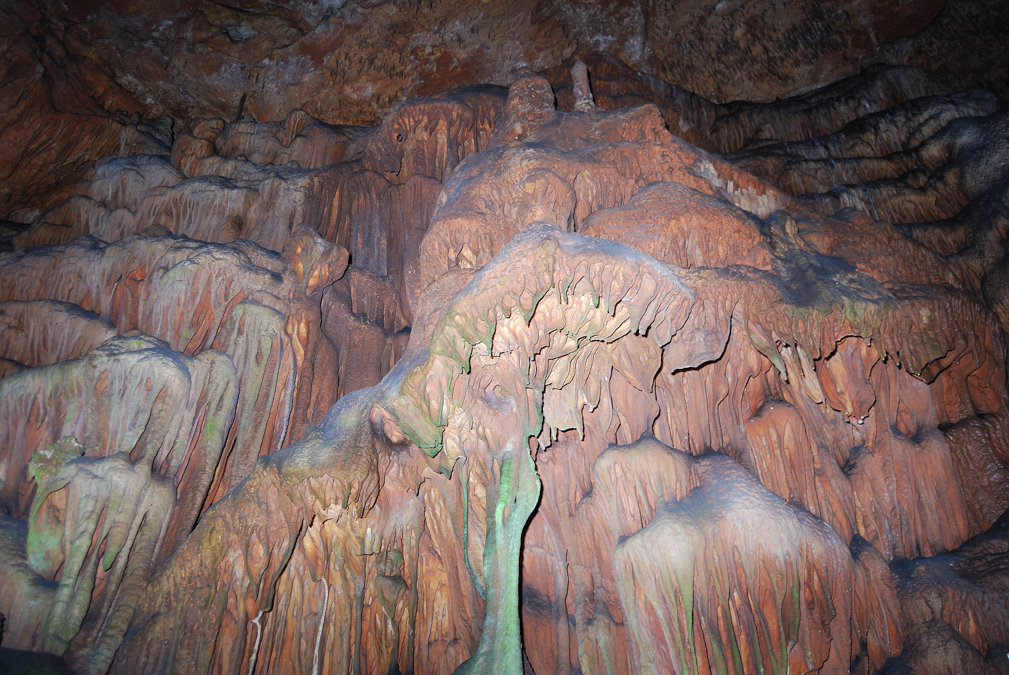 结合细胞信号转导的相关学习内容图解肾上腺素和胰岛素调控血糖稳定的信号转导机制