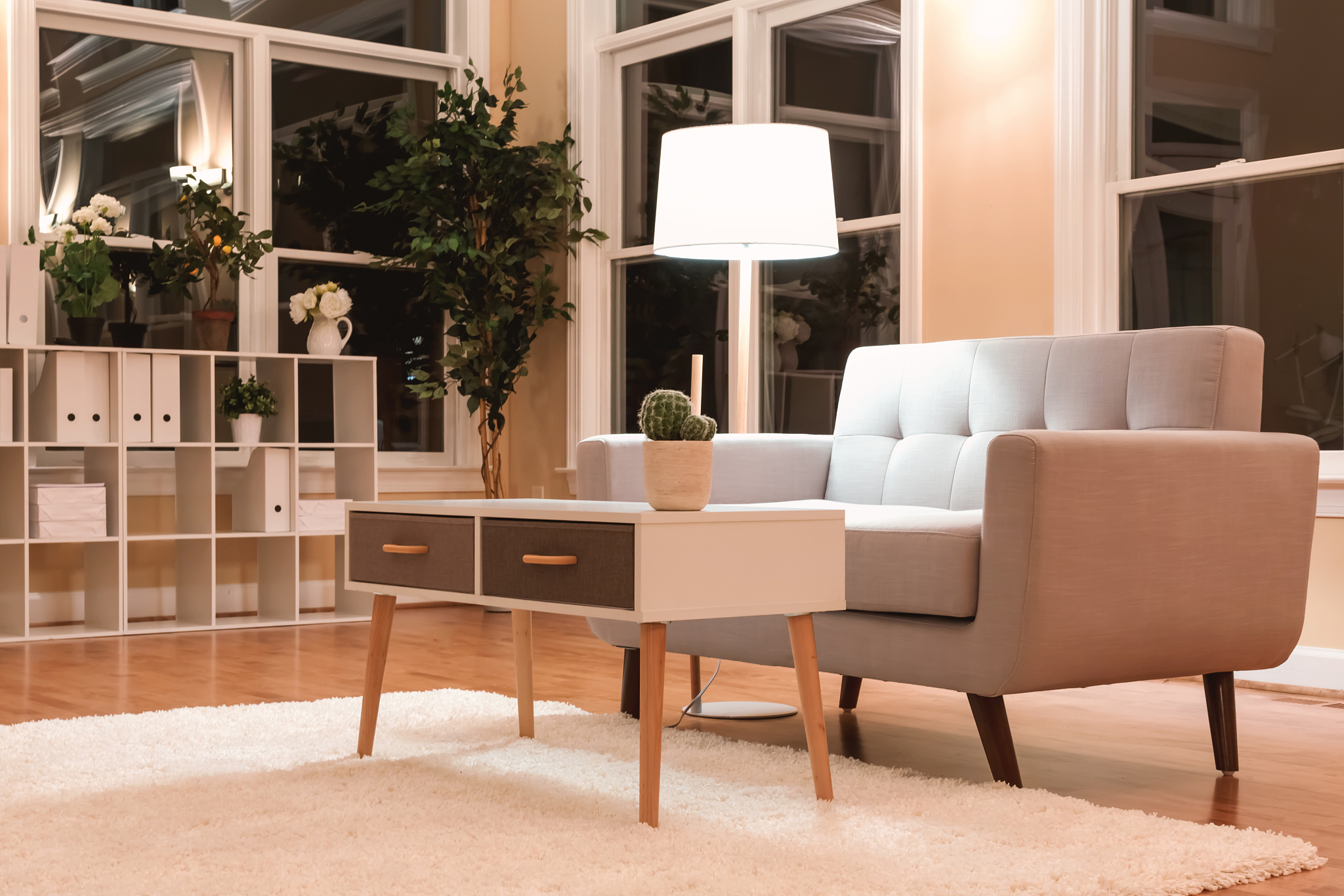 large luxury interior living room