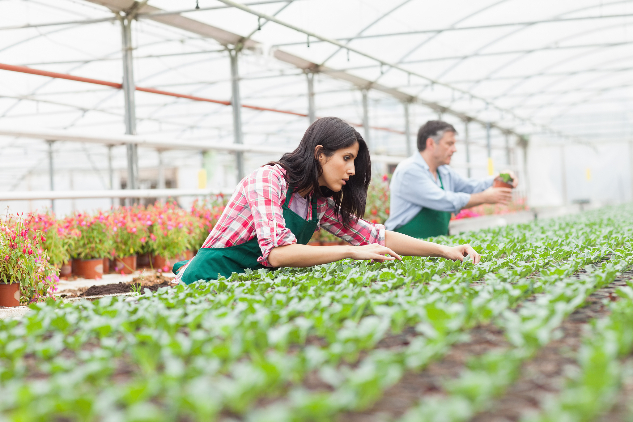 湖北3+2现代农艺技术专业的学校有哪些？