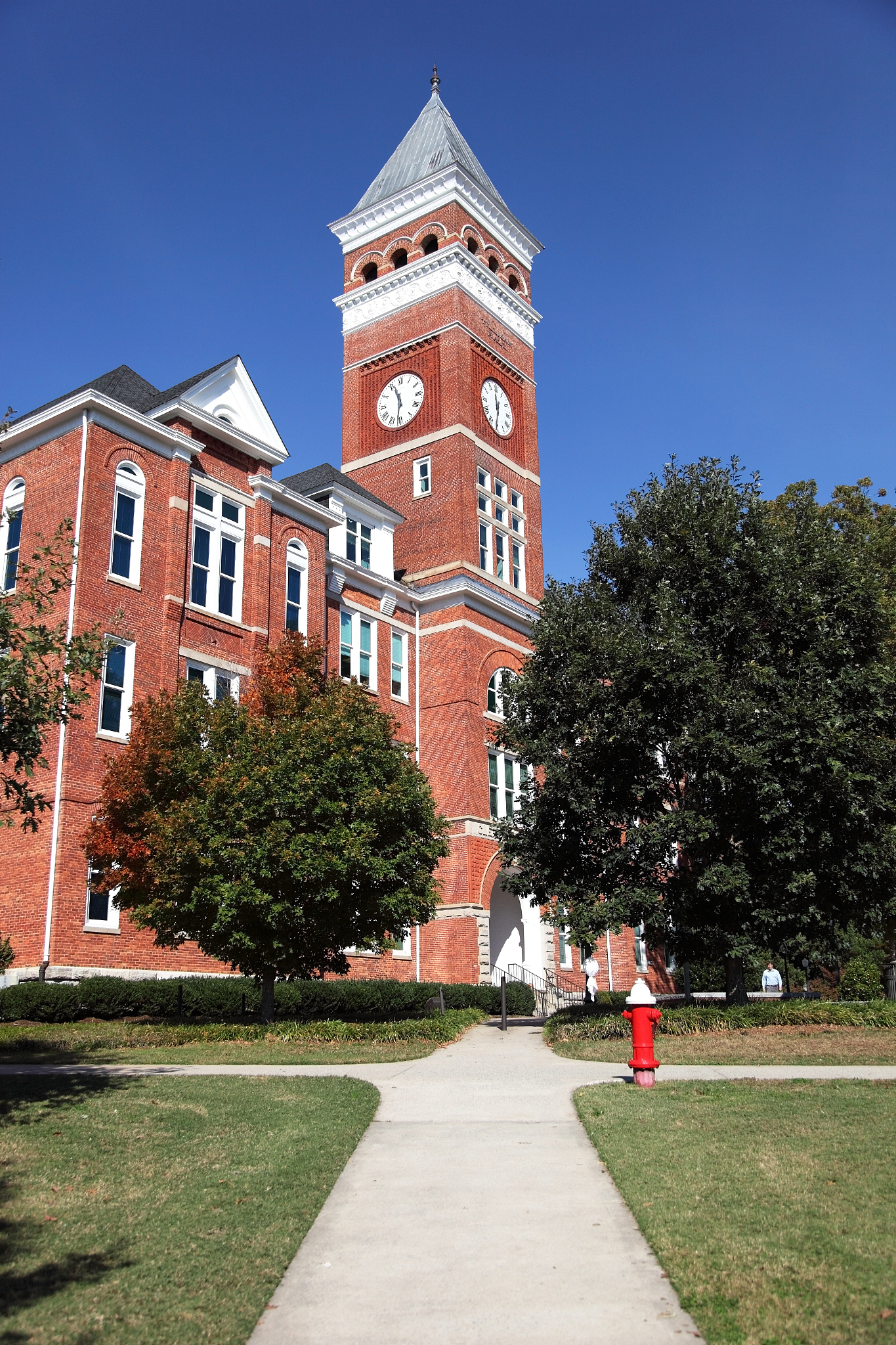 clemson university