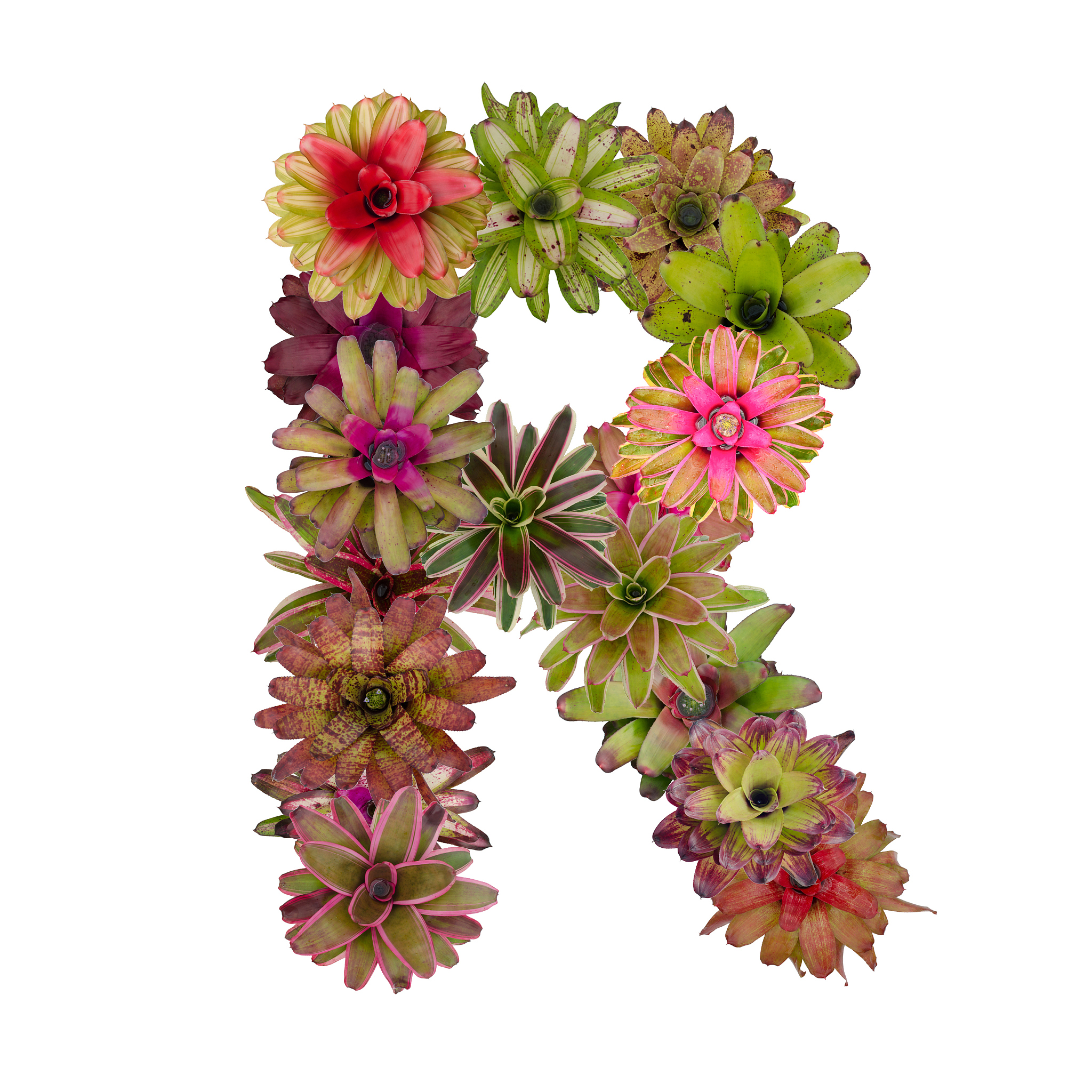 四川省绵阳农业学校植物保护专业教学主要内容都有哪些好不好