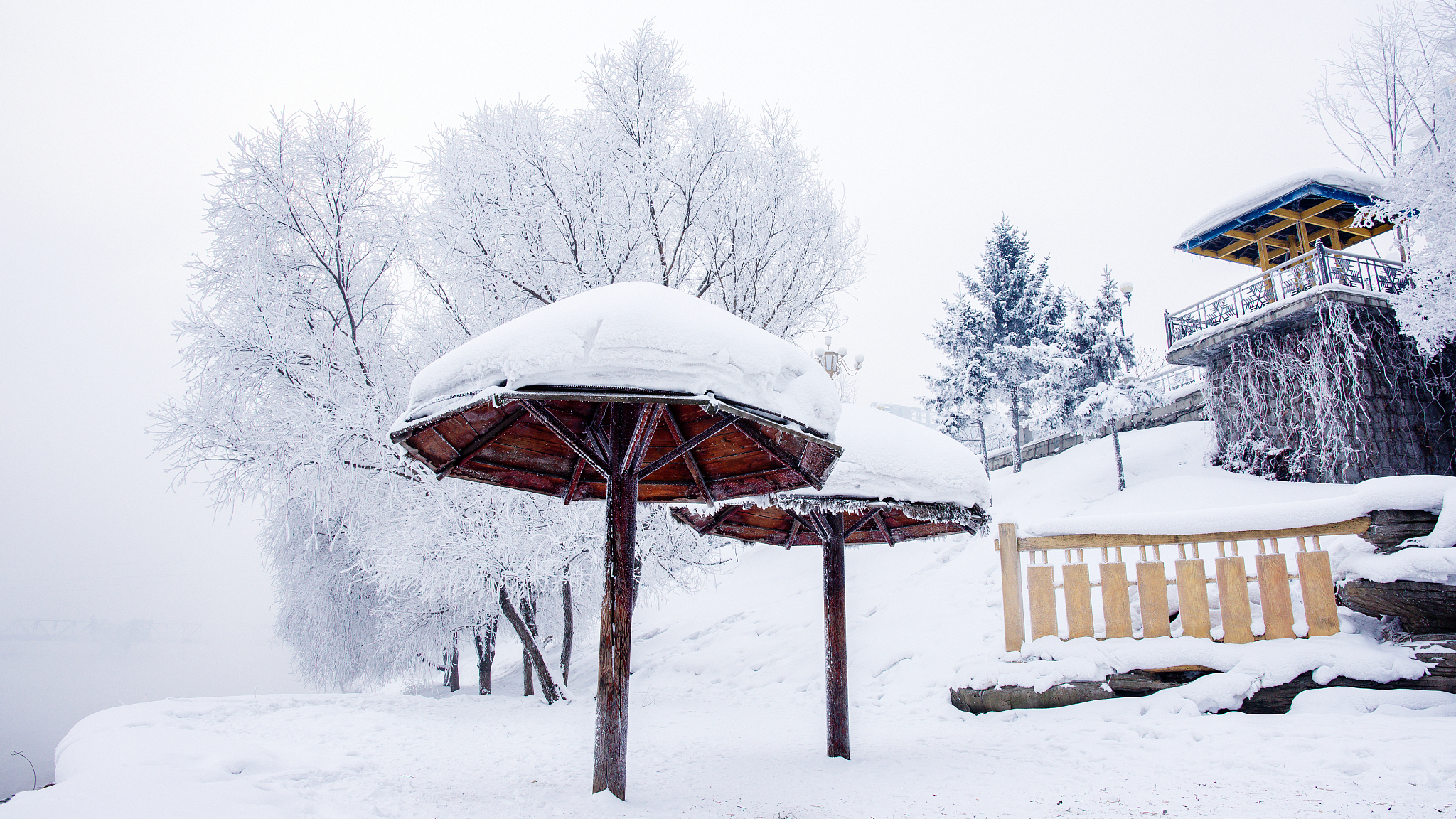 我这边一年看不到雪怎么回复