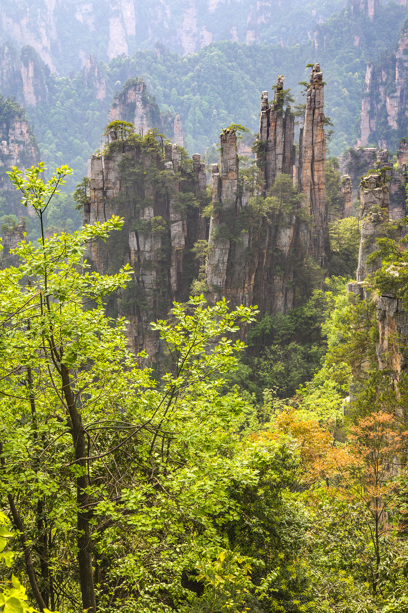 我想去从河南到湖南旅游为期5天预算5000请你以导游的身份给我一份攻略以及价格并给出出行方式。