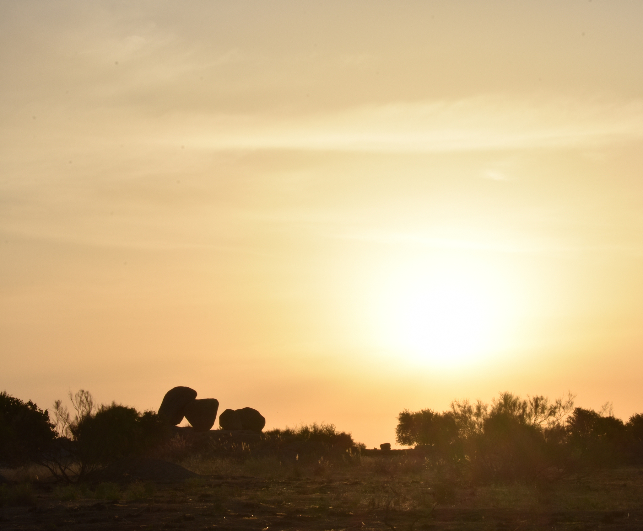 关于晚霞爱情凄美动人的现代诗歌