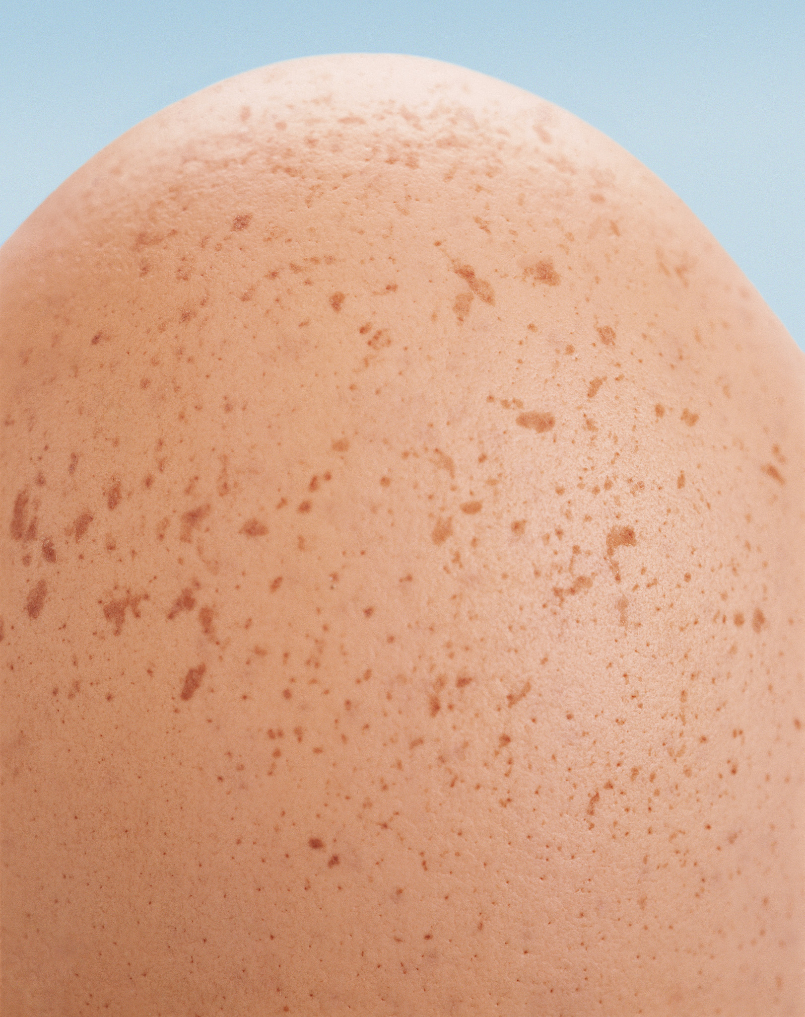 佛教里的鸡蛋：荤还是素？详细解读