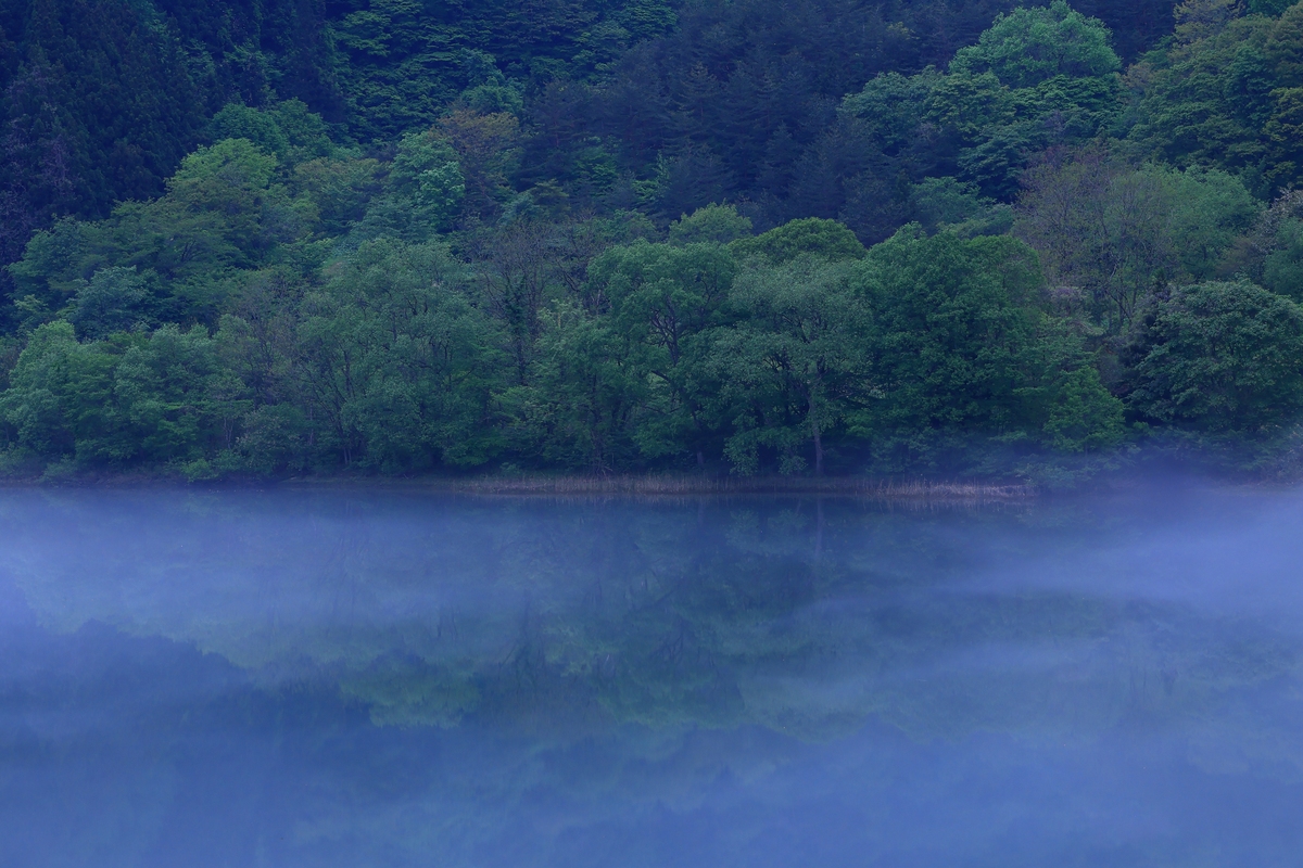 青茅山雨夜：如梦似幻的唯美景象