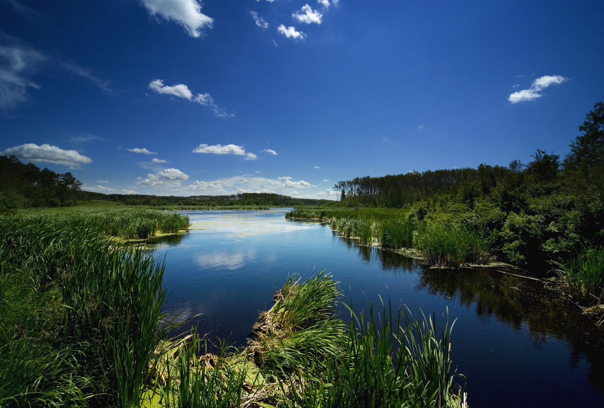 用双鸭山上谁称王一代更比一代强 为题写一篇推文字数不少于1000字
