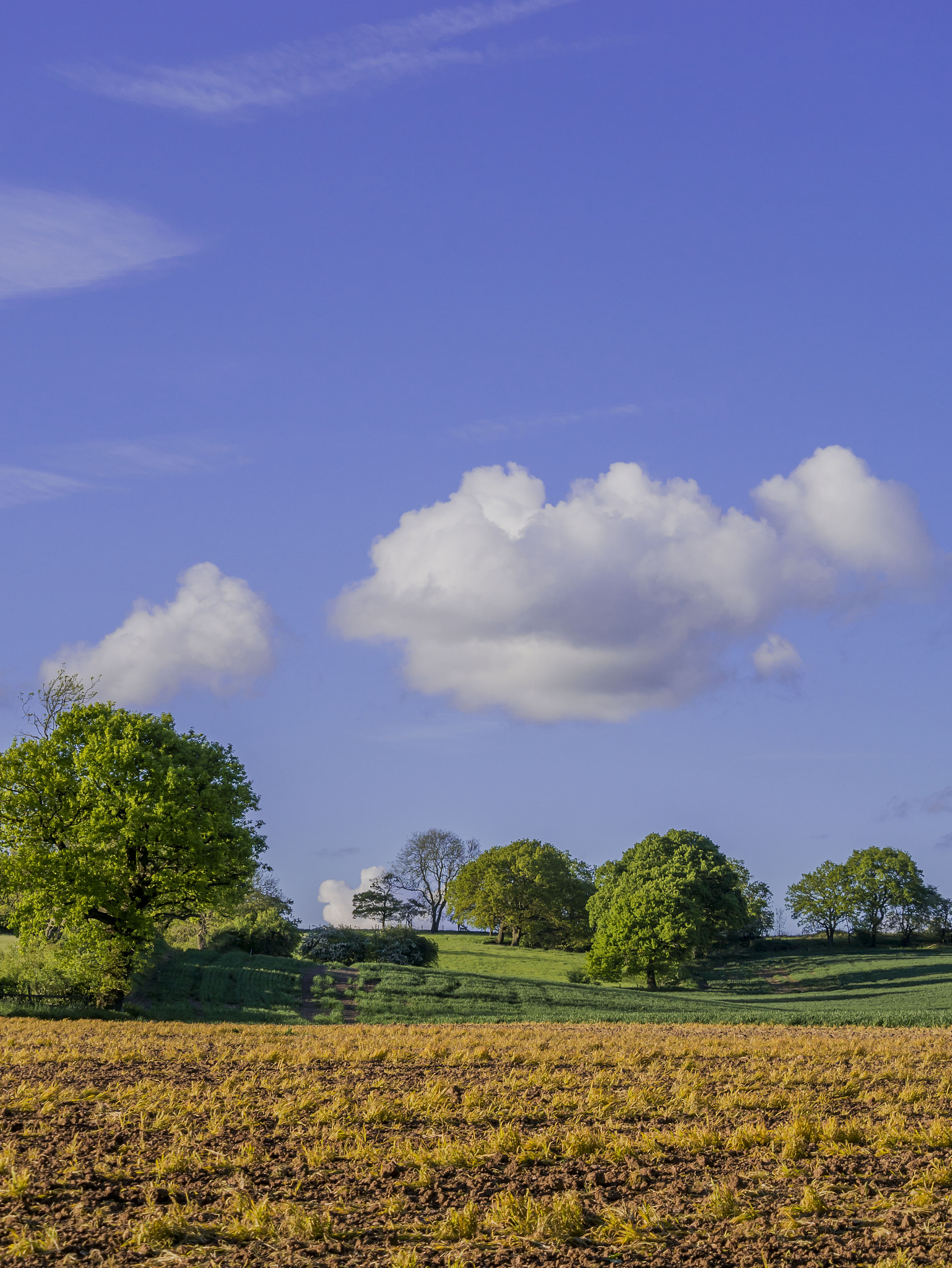 手机图片模糊怎么办？教你几个简单方法提高清晰度