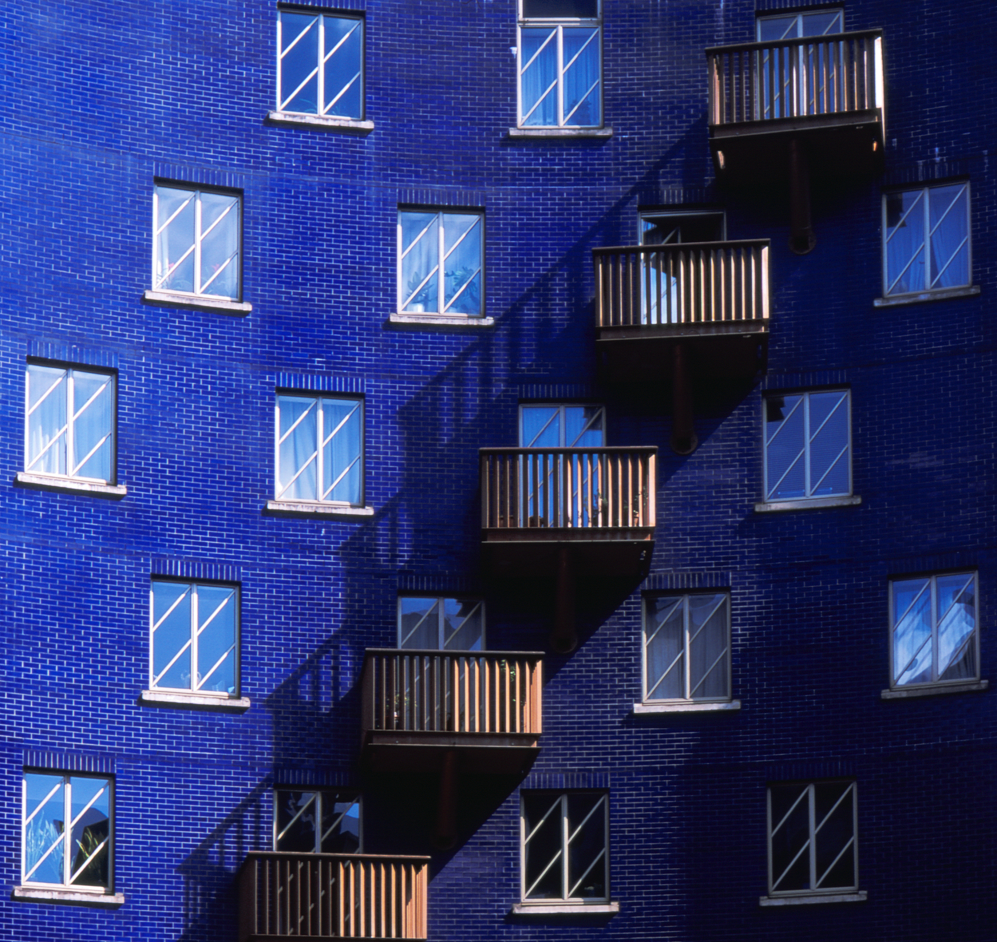 赫尔维兹盘踞是什么