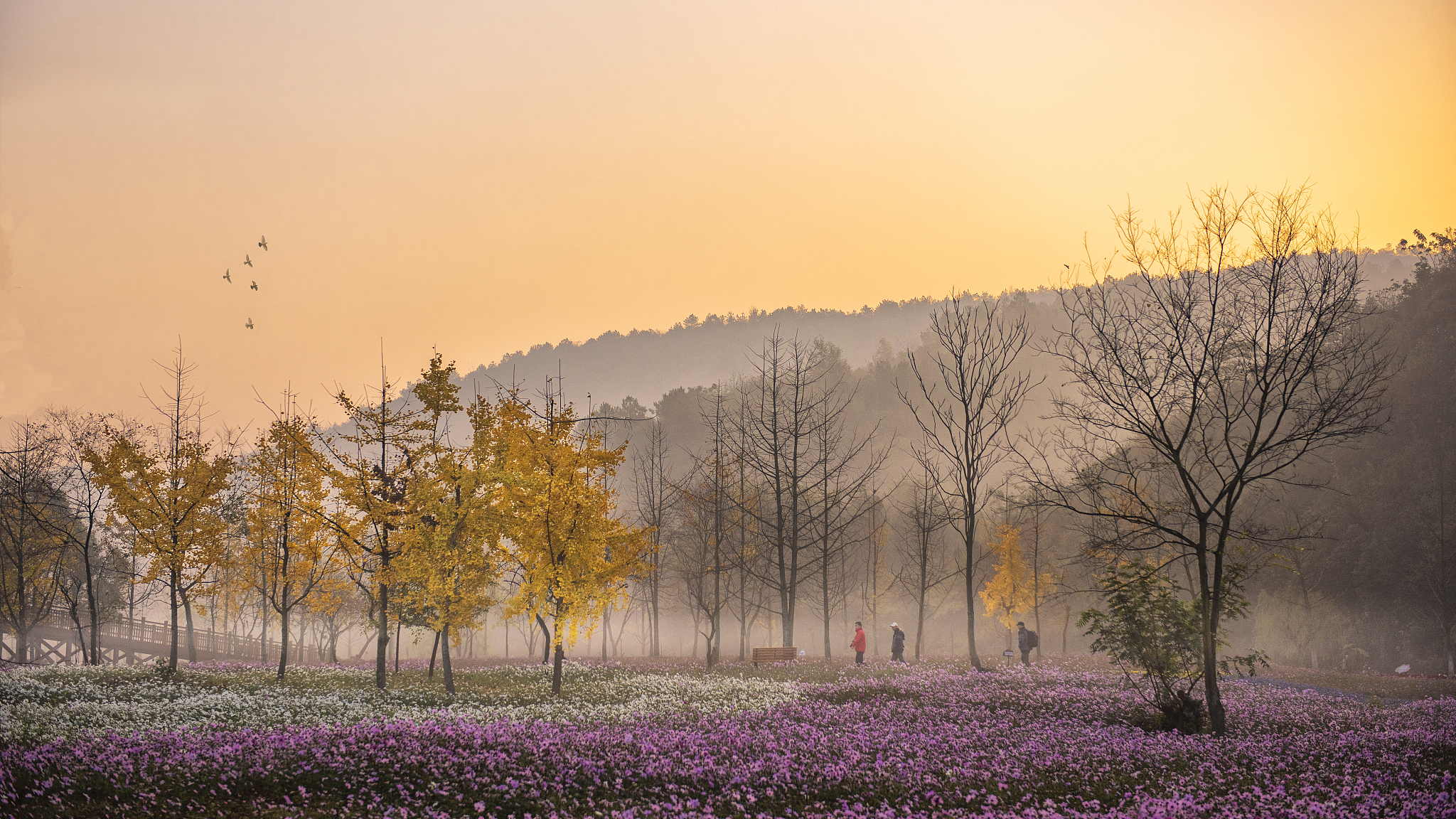桃花节和黑麦酒如何做横幅？