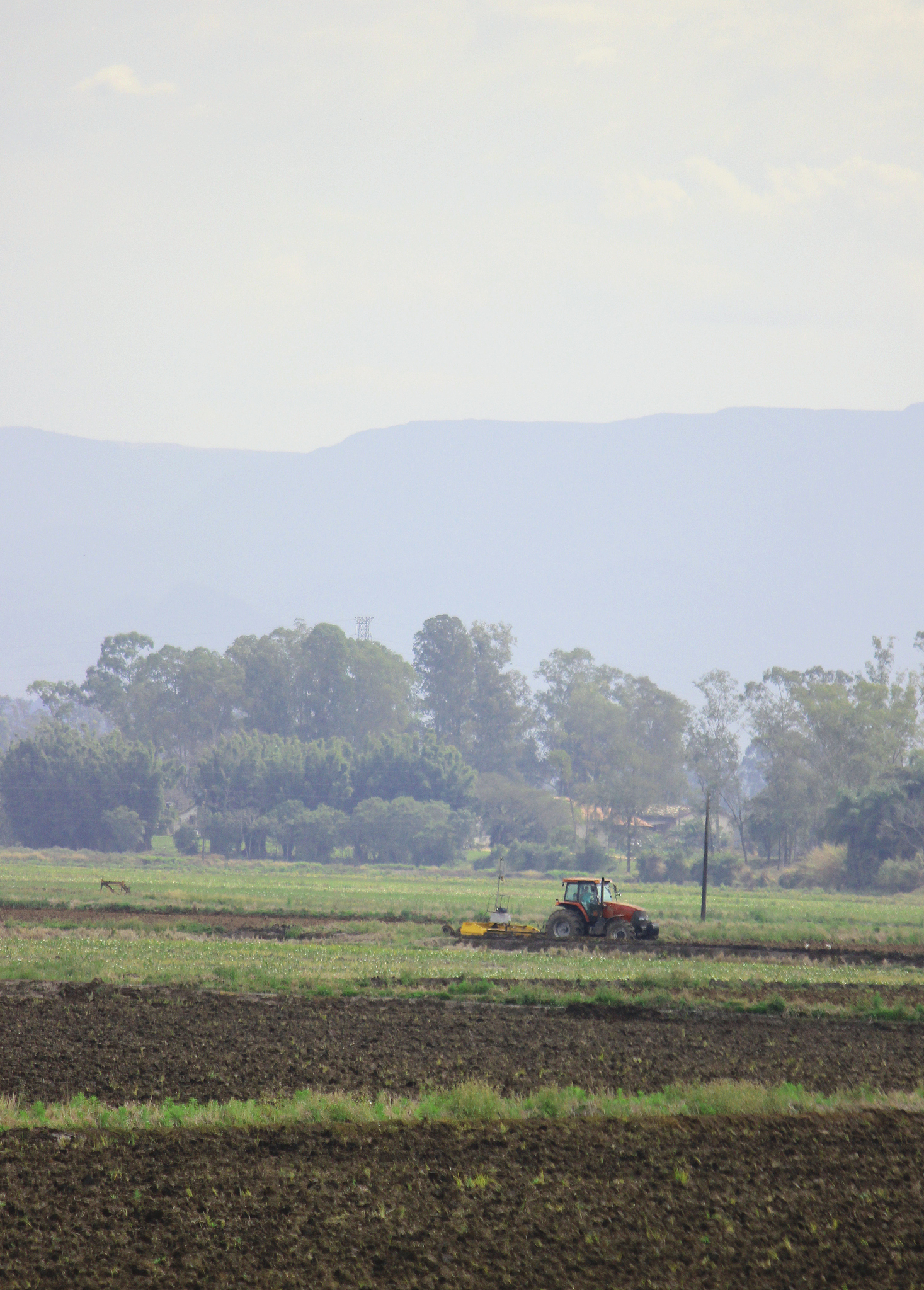 云南曲靖农校五年一贯制普通高职招生专业 - 培养现代农业人才