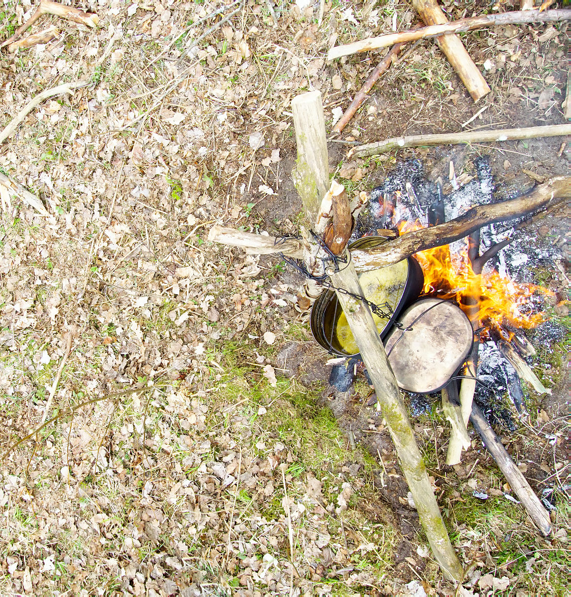 写一篇春游的日记