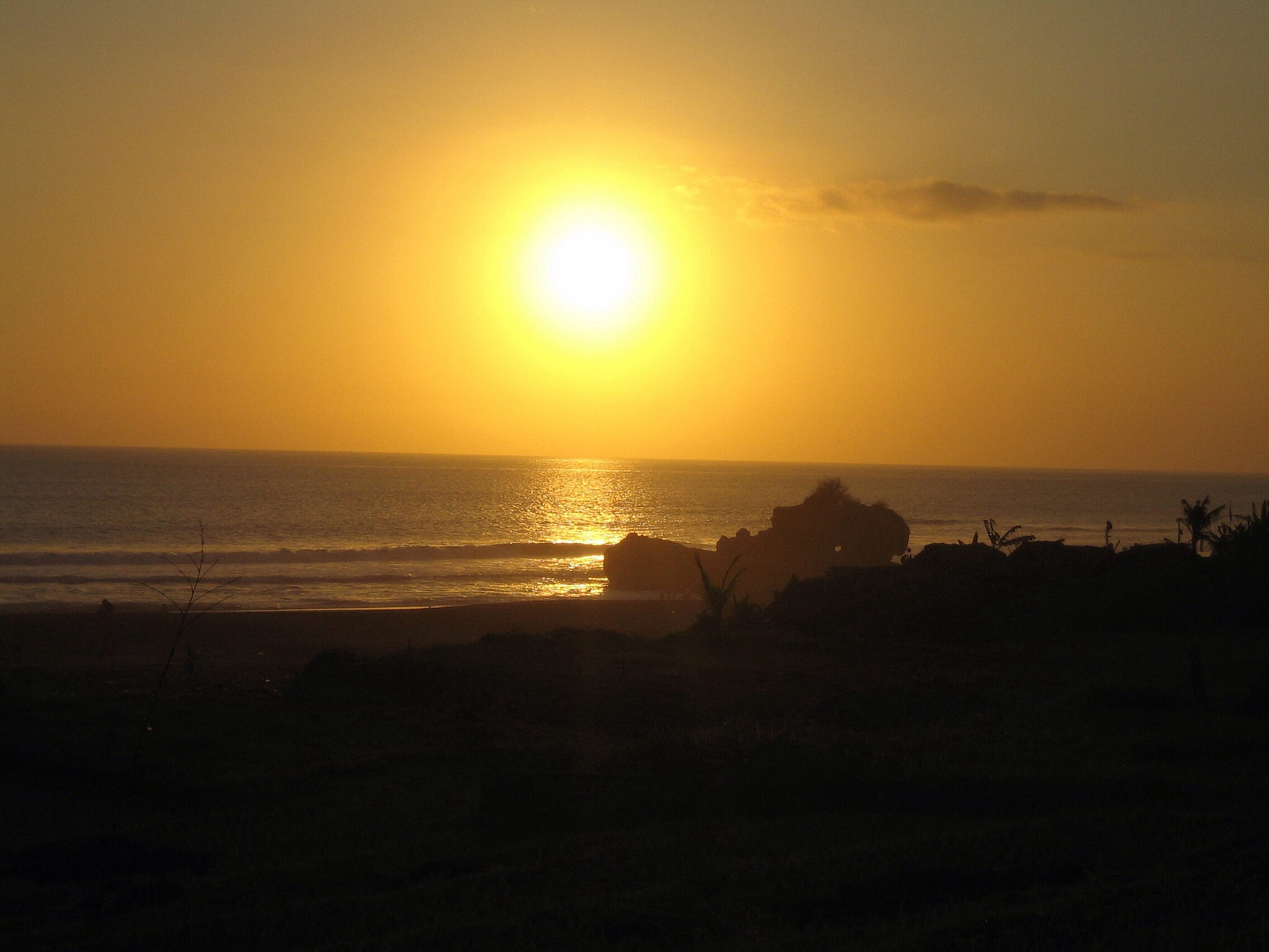 业主单次乘坐电梯的费用是共享电梯建、用的关键。以下为某小区单元拟采用共享电梯模式涉及的相关信息： 1该单元楼型为 7 层每层 2 户电梯采用平层入户方式； 2建设一部共享电梯需一次性投资建梯费用 60 万元； 3电梯设计使用寿命为 20 年公司后期每年陆续投入电梯运维管理相关费用期盼在 20 年内收回投资成本并获取投资增益 40 万元。