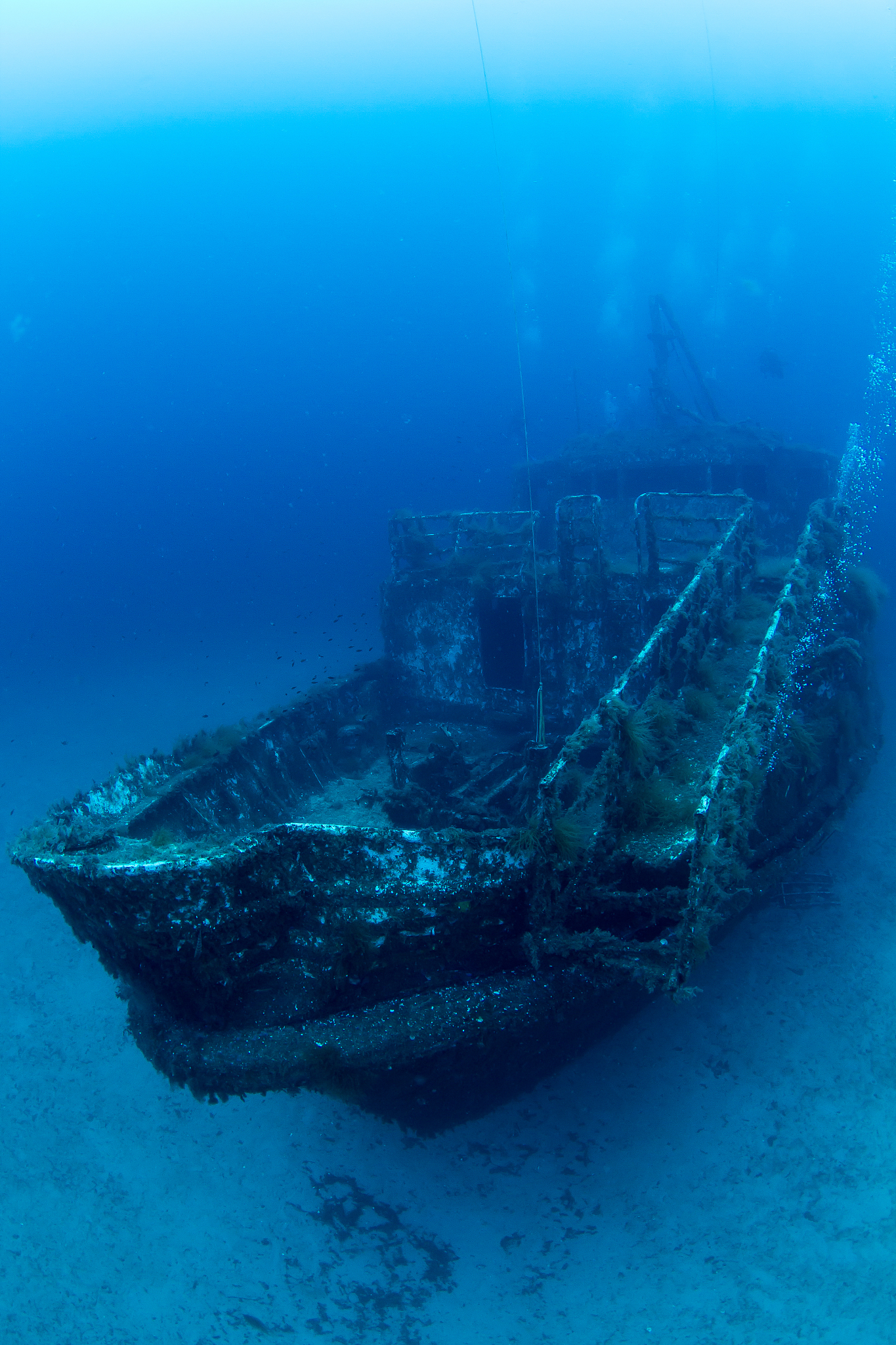 malta wreck diving