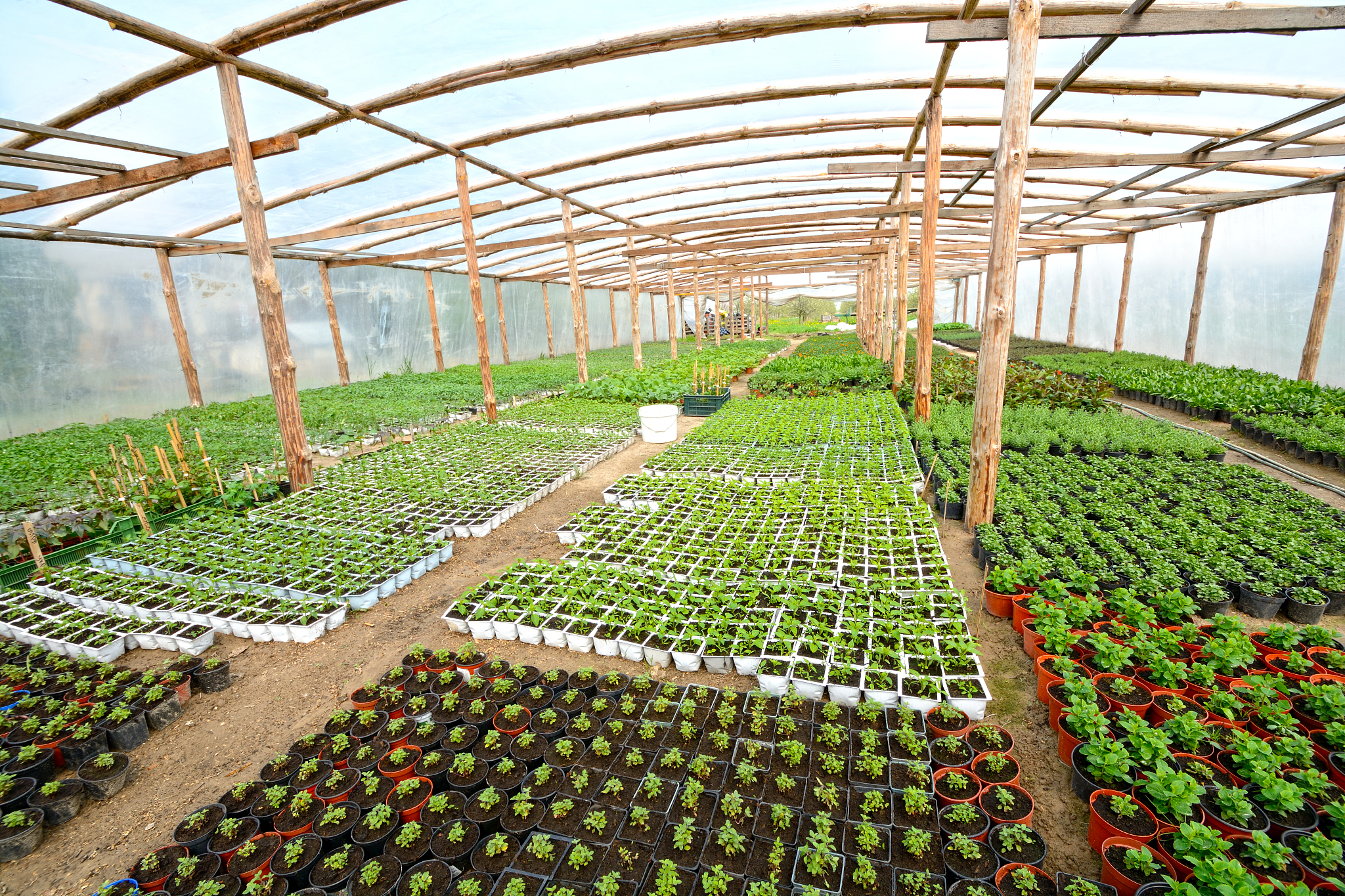 甘肃果蔬花卉生产技术中专中职学校推荐