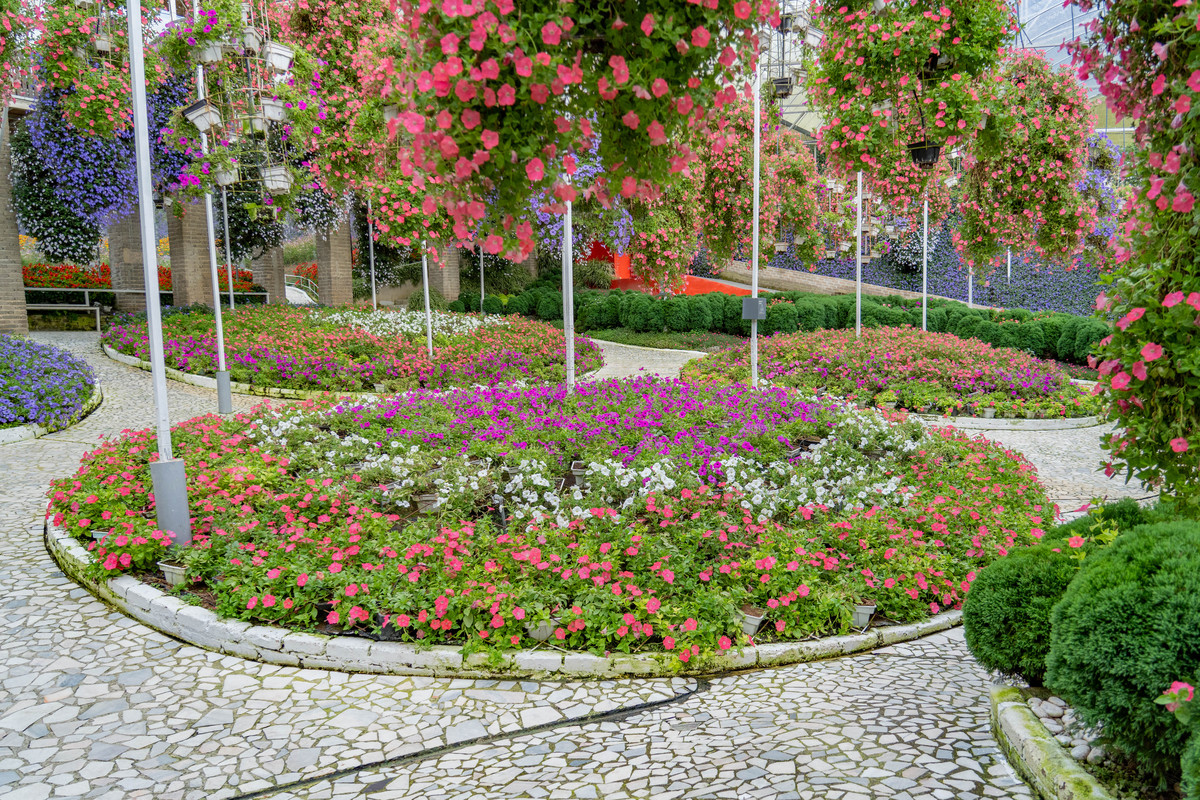 关于西安市东三环绿化植物配置中丰富绿化植物选材品种的建议不少于600字。