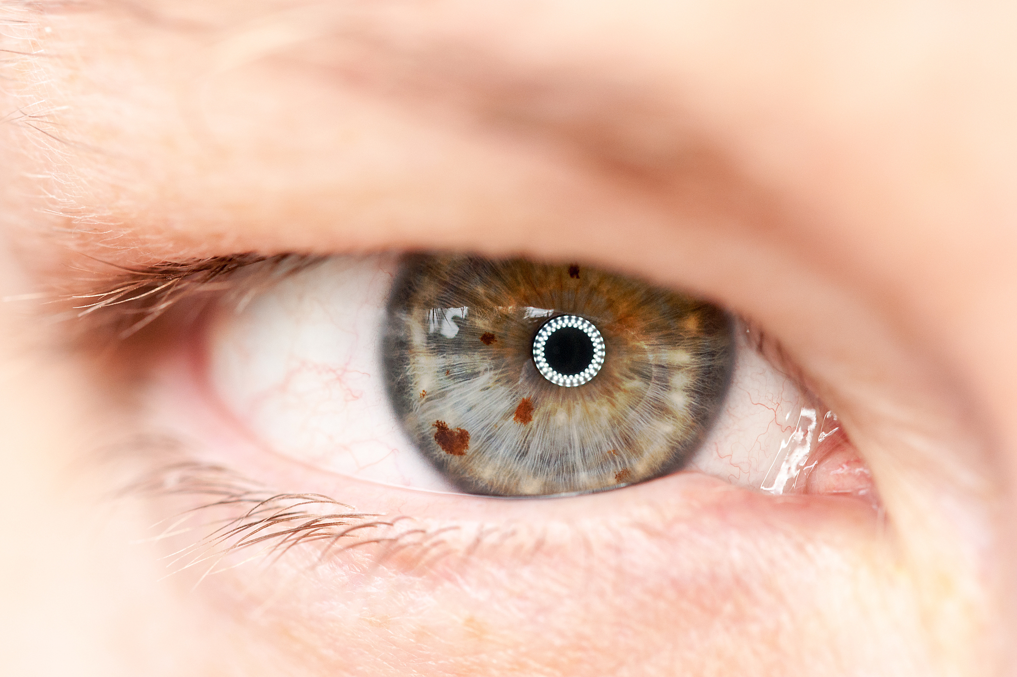 human eye macro