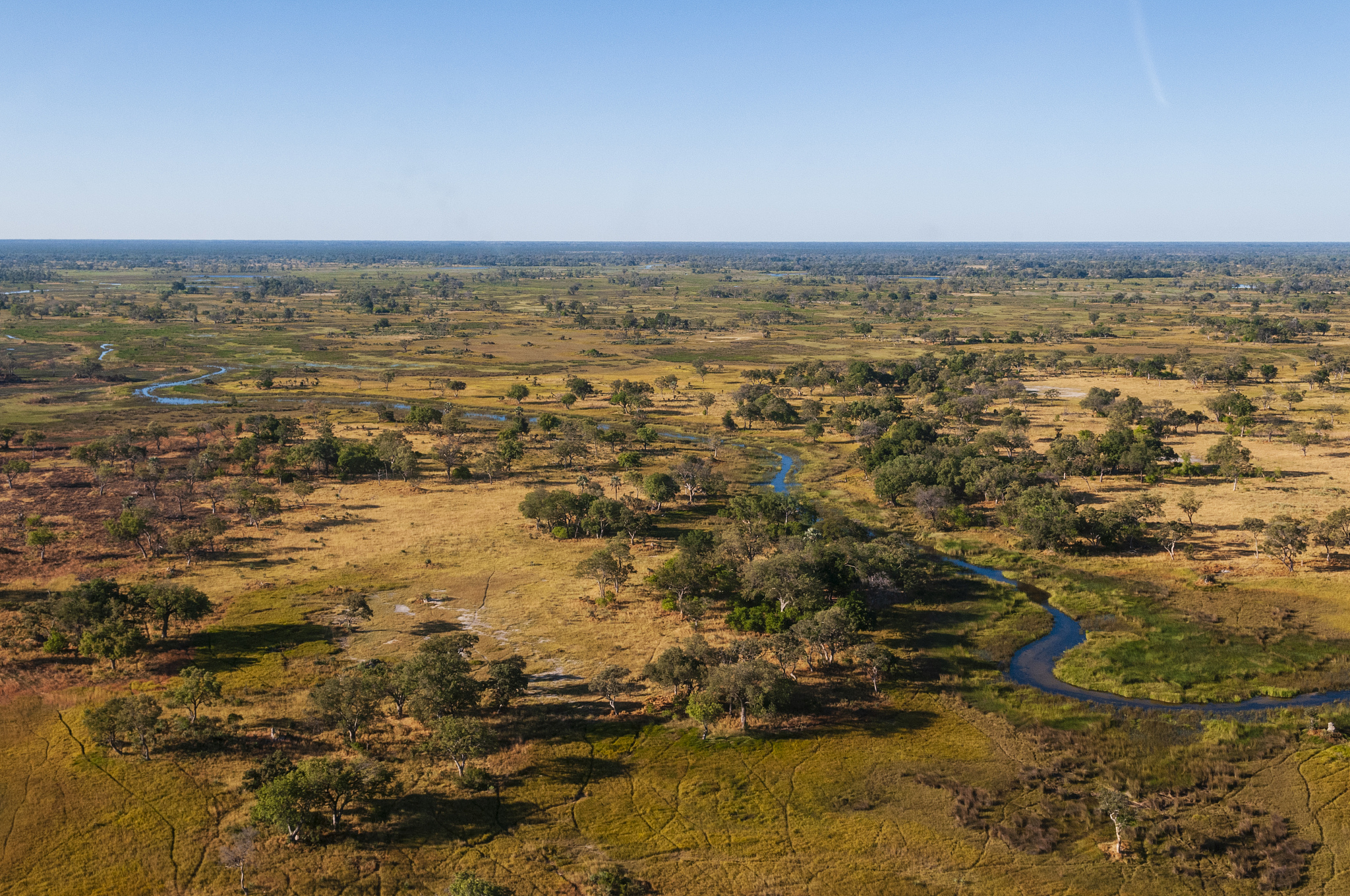 aerial view of okavango delta, botswana