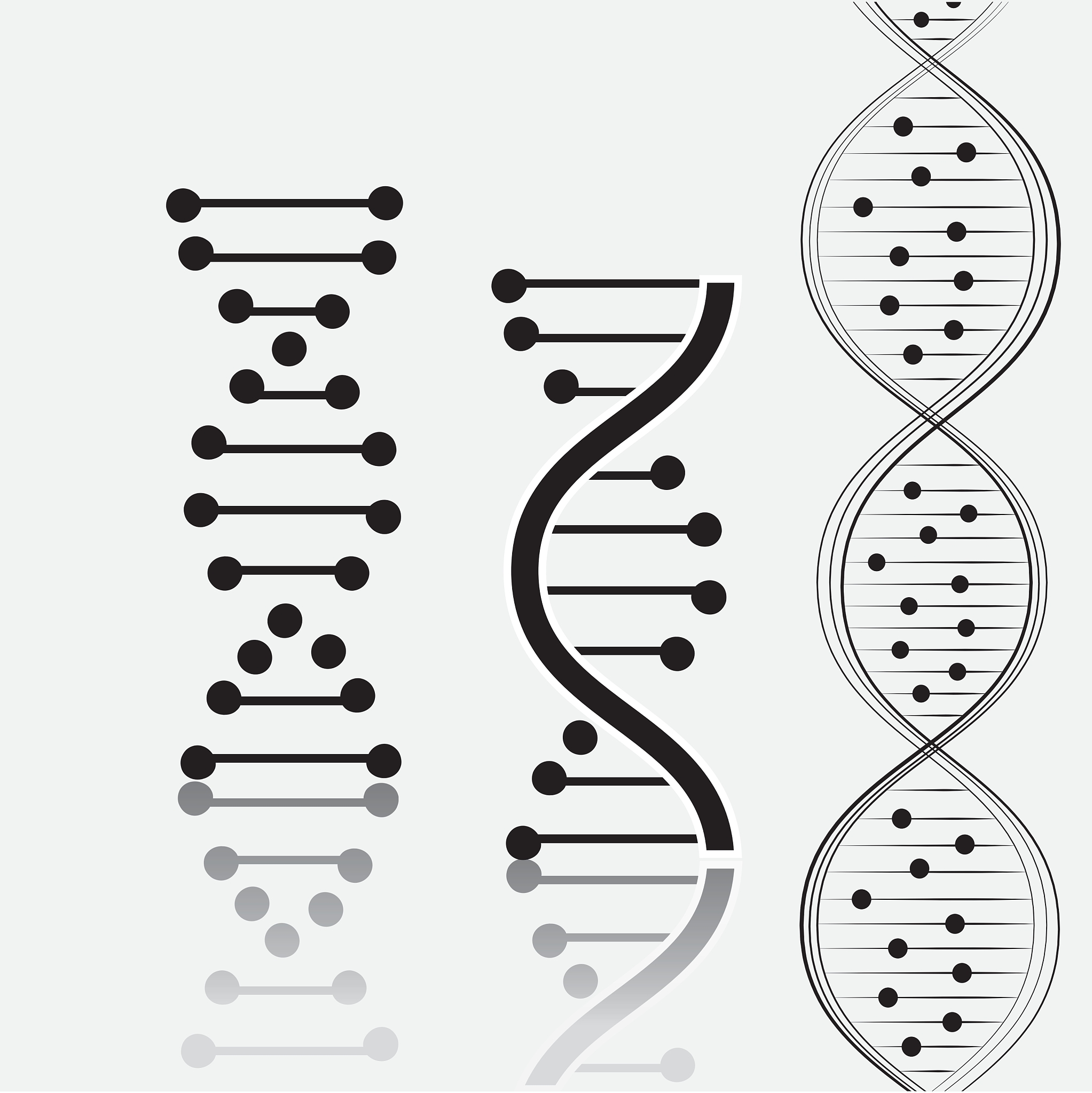 DNA是英文单词Deoxyribonucleic Acid的缩写中文俗称脱氧核糖核酸。它是一种复杂的有机化合物存在于所有原核生物和真核生物的细胞中以及许多病毒体内。DNA携带着遗传信息掌管着人类基因密码的奥秘。DNA 的发现DNA 的发现始于 1869 年德国化学家弗里德里希·米歇尔以及瑞士化学家约翰·弗里德里希·梅塞奈这两位科学家发现了 DNA 分子的大致结构但当时还没有认识到其在生物学中的重要