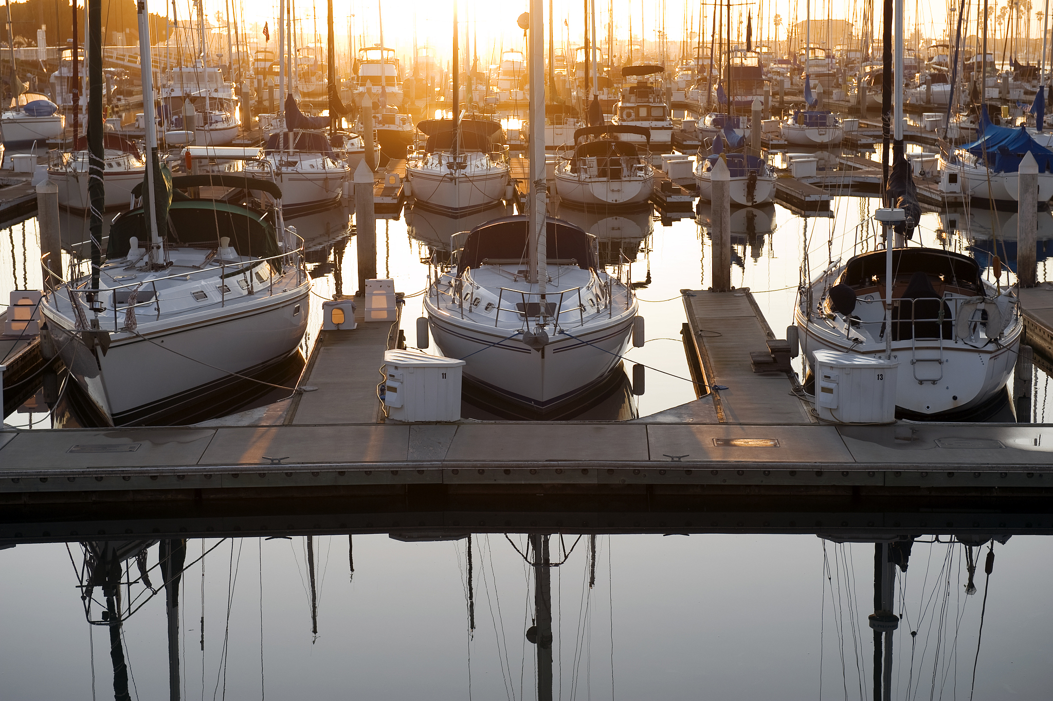 yacht's