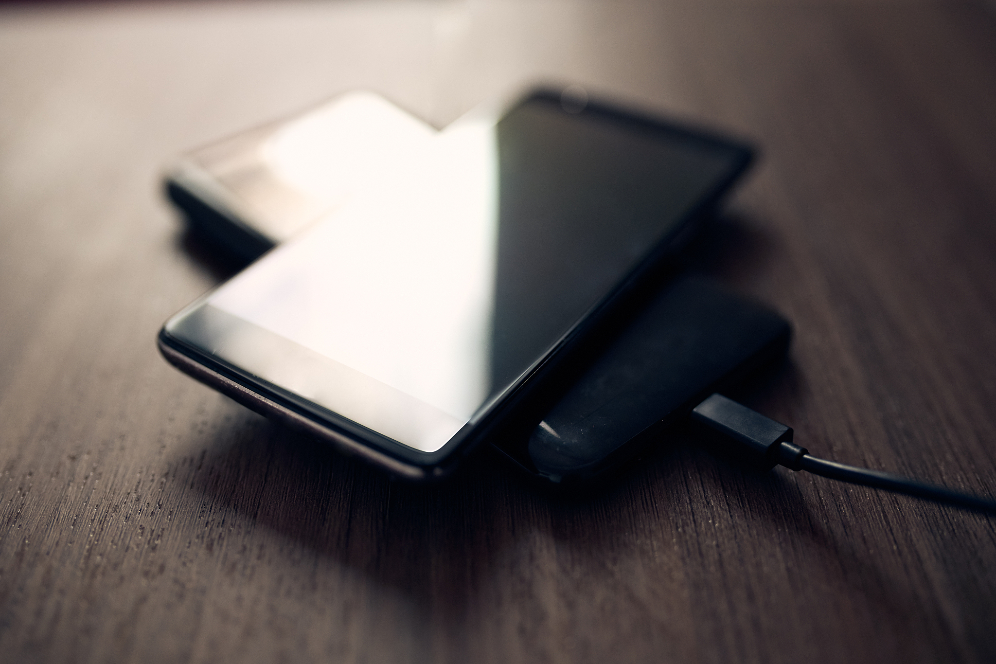 甘肃畜牧工程职业技术学院畜牧兽医专业：培养畜牧业和兽医行业人才