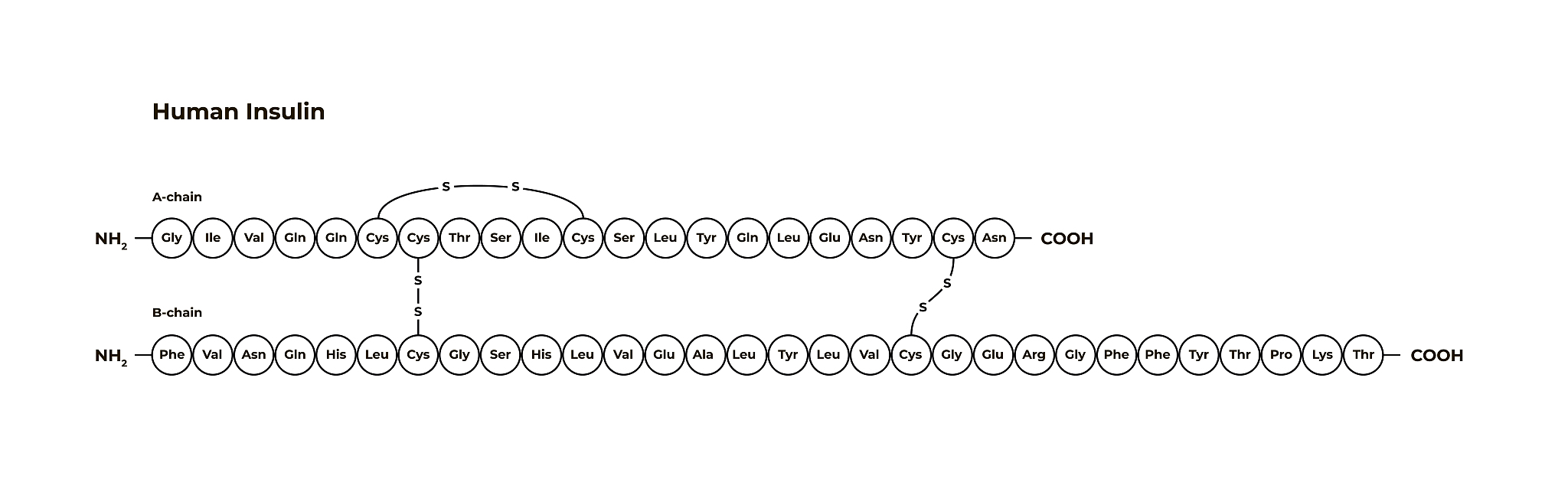 public static int findMaxCommonSubstringLengthString str1 String str2 int prevRow = new intstr2length + 1; int currentRow = new intstr2length + 1; int maxLength = 0; for i