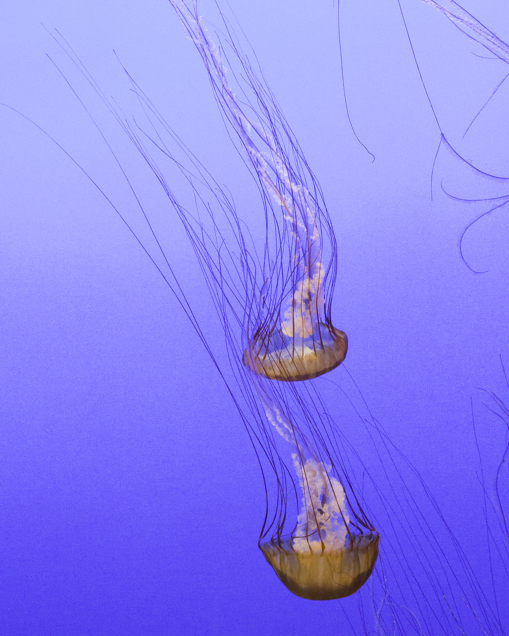 水漩涡原理：形成原因、应用及常见例子 - 深入浅出解析