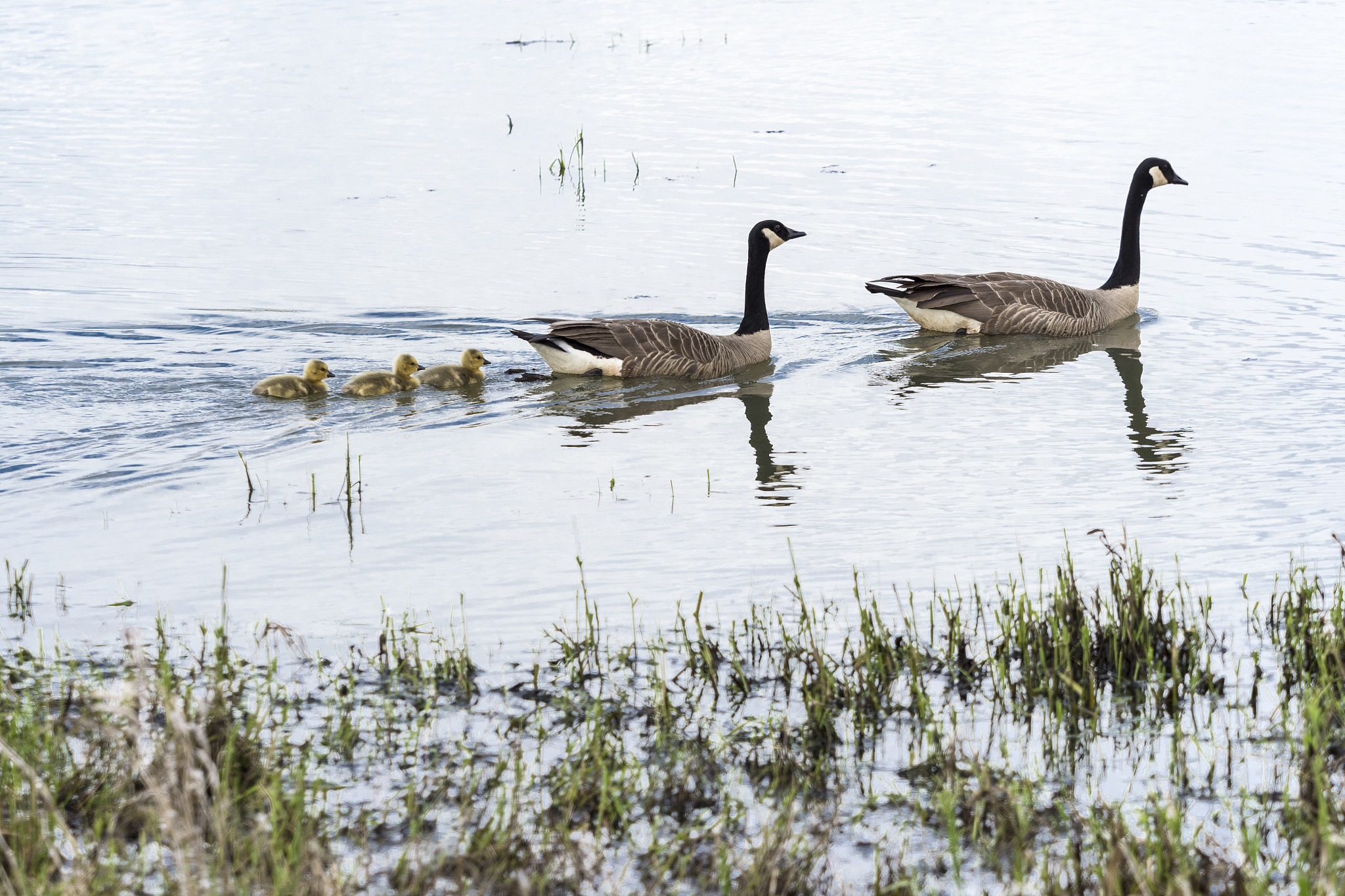 赣州技师学院幼师3+2专业都有哪些课程-怎么样