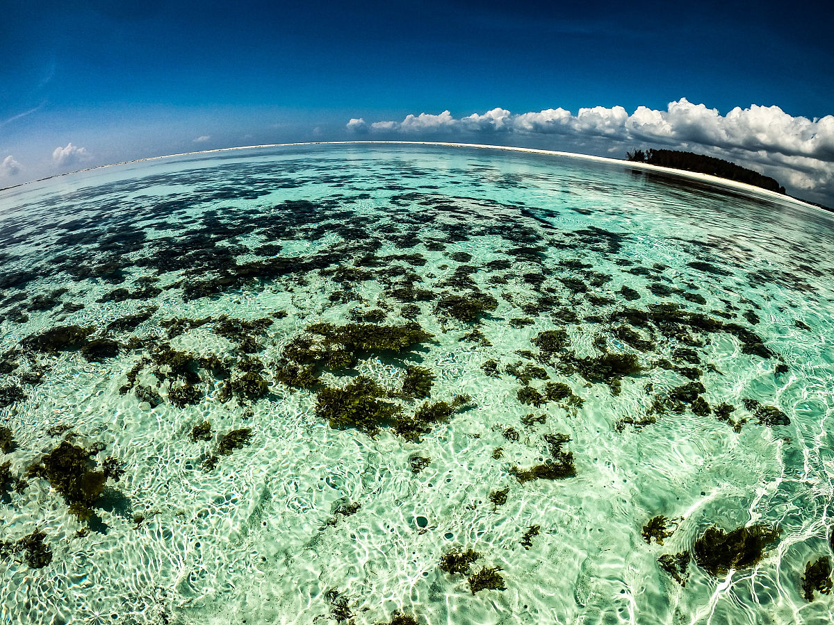 新加坡水资源管理：创新技术和社会合作的成功典范