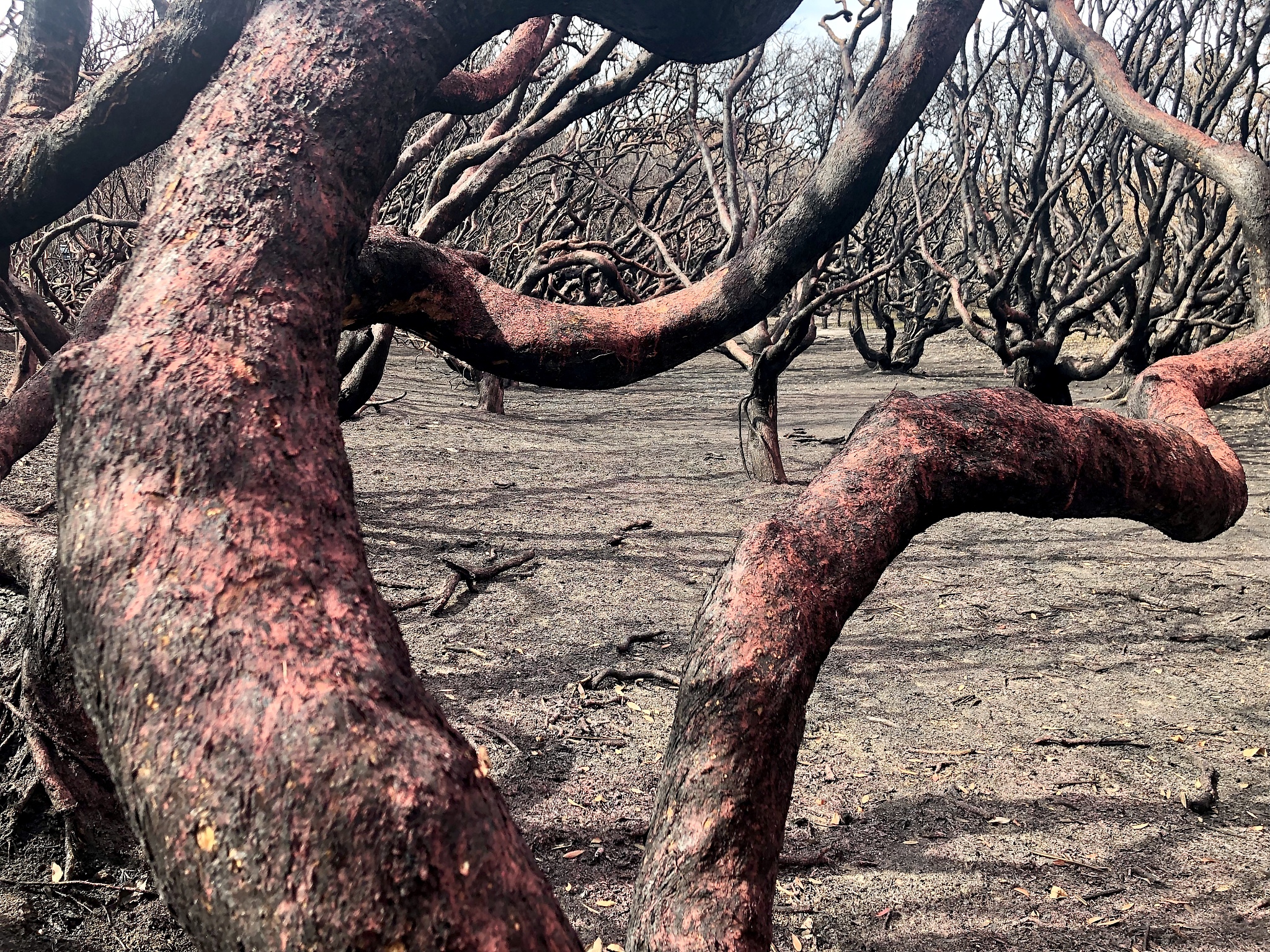 案例分析：采访在新闻报道中的重要性及采访方案要素