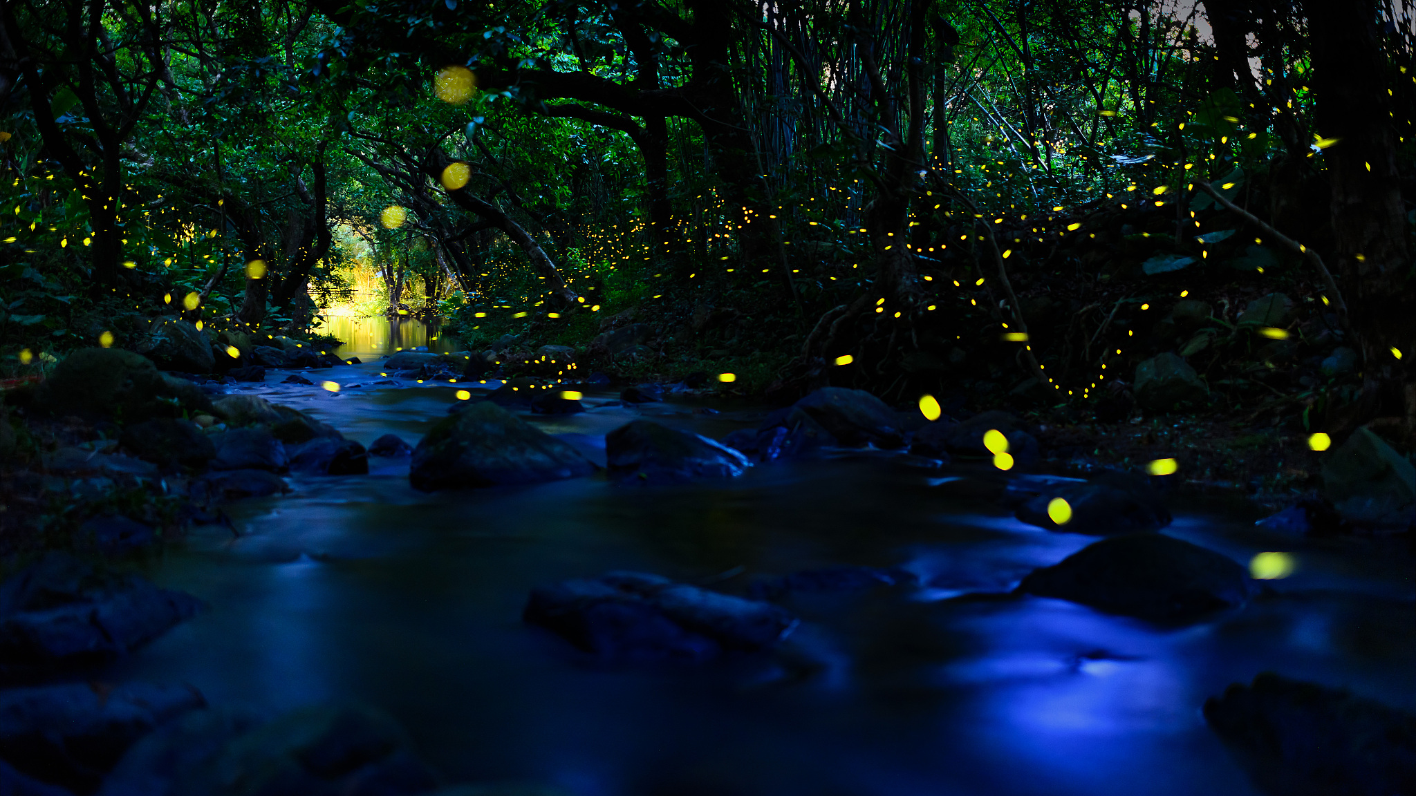 乡村夏夜：宁静、星空、蛙鸣和心灵的回归