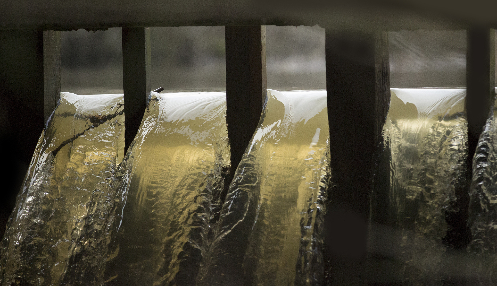 Water Therapy: Using Water for Wellness & Healing (Simplified Explanation)