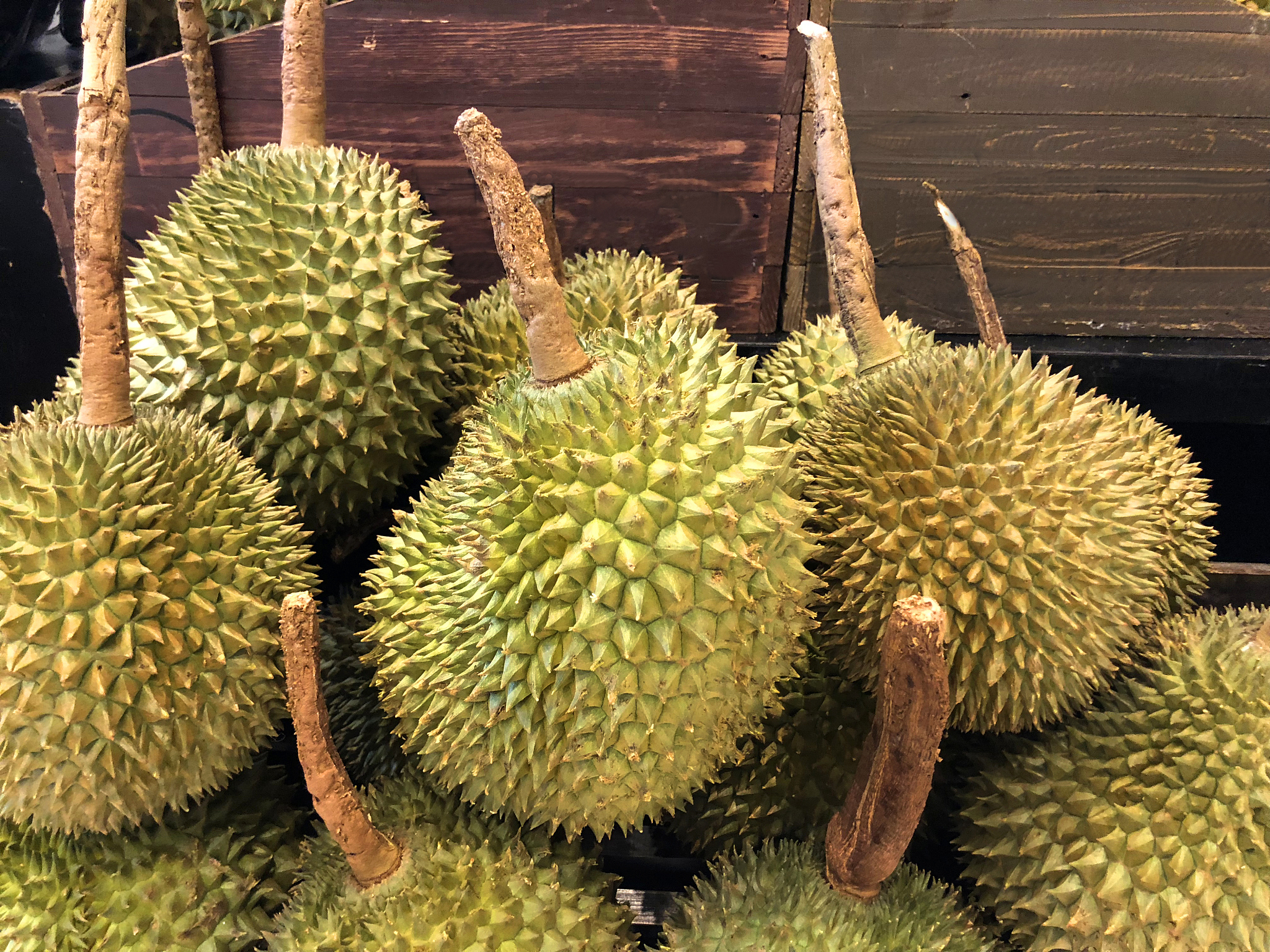 榴莲接下来的价格走势