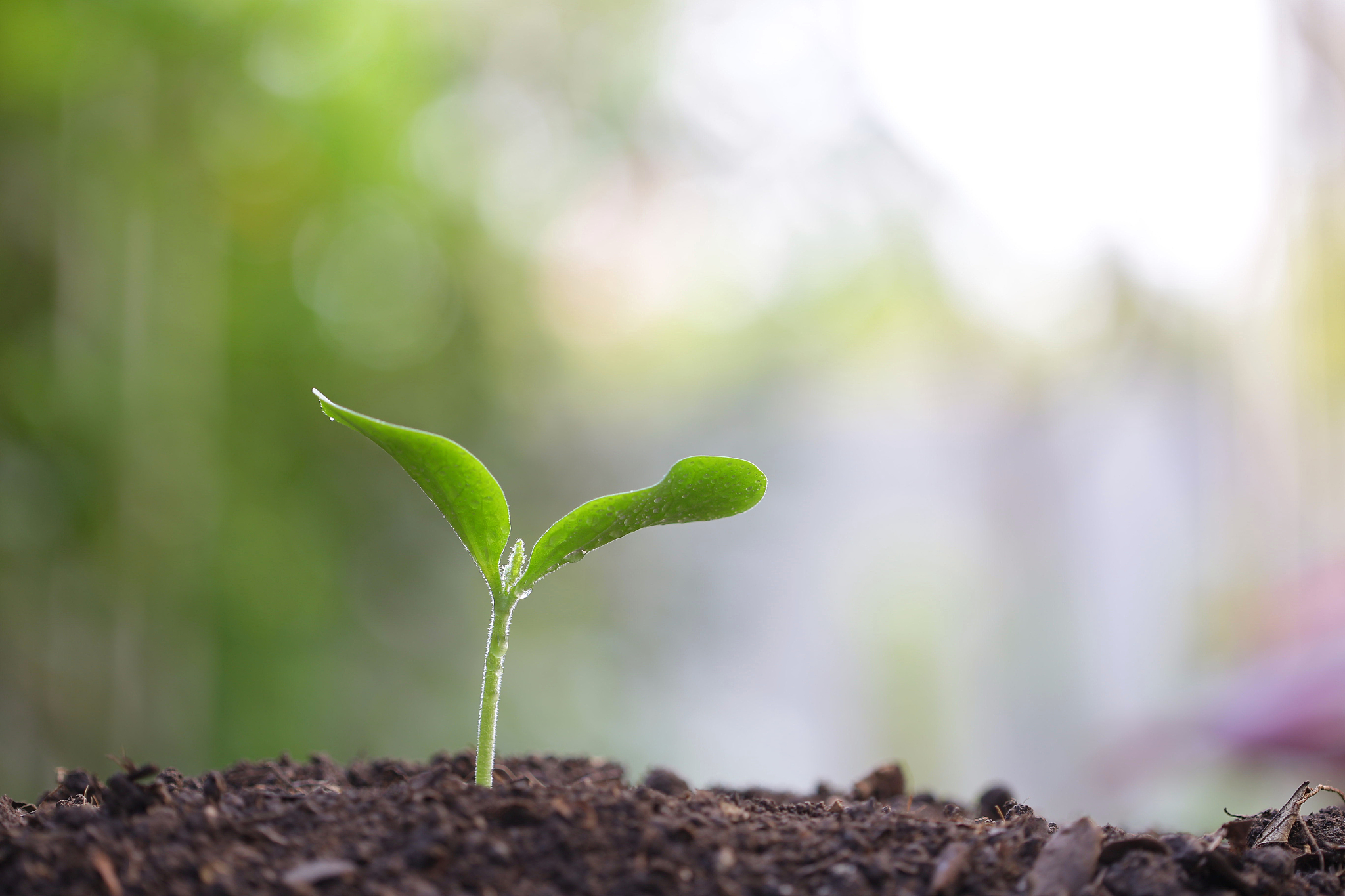 江西环境工程职业学院是公办还是民办？