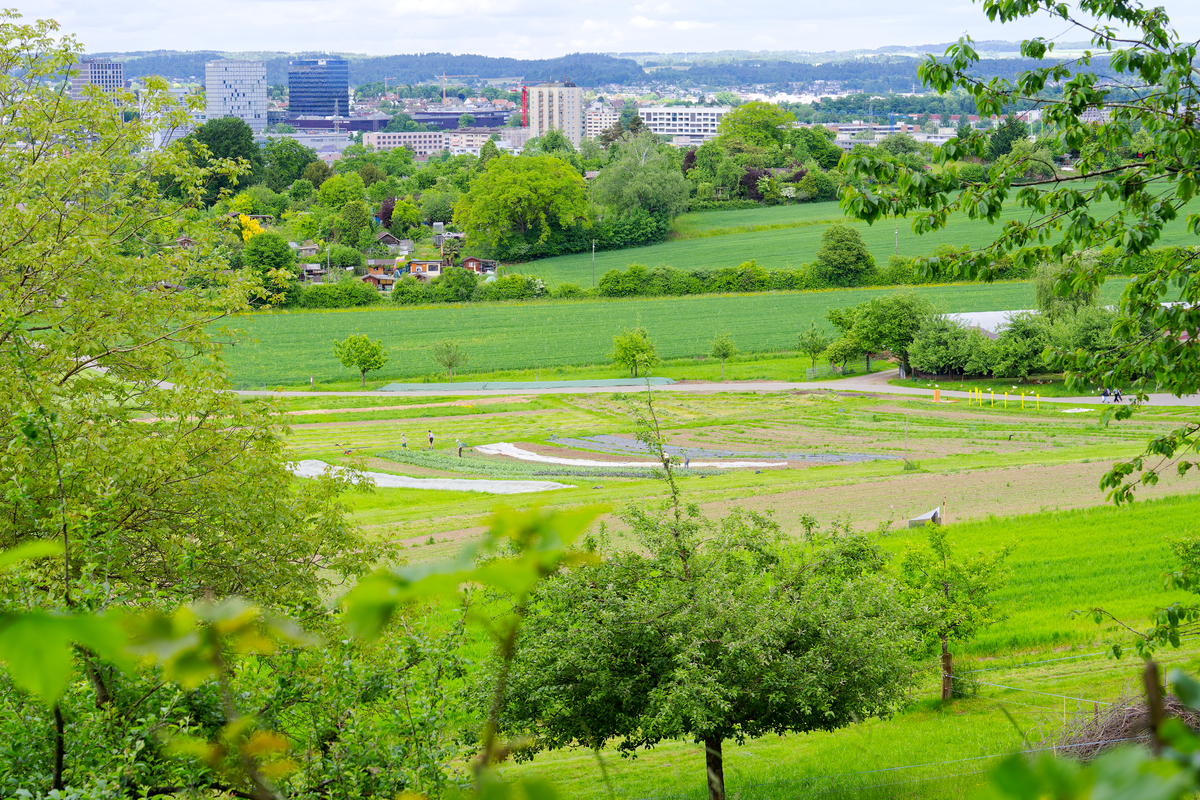 生活中的风景为题写一篇作文